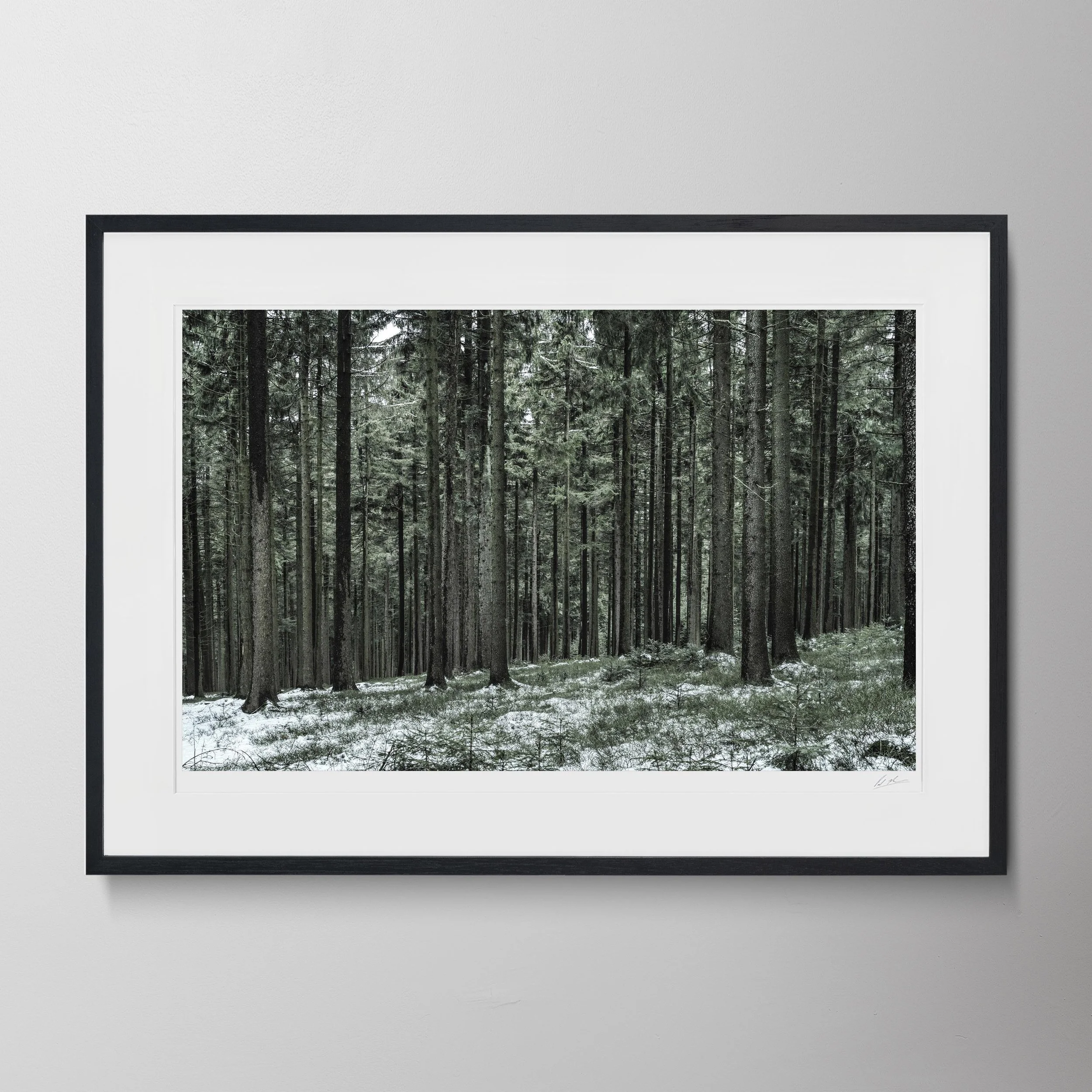 Black Landscape-Bavarian Trees_0007 2.jpg