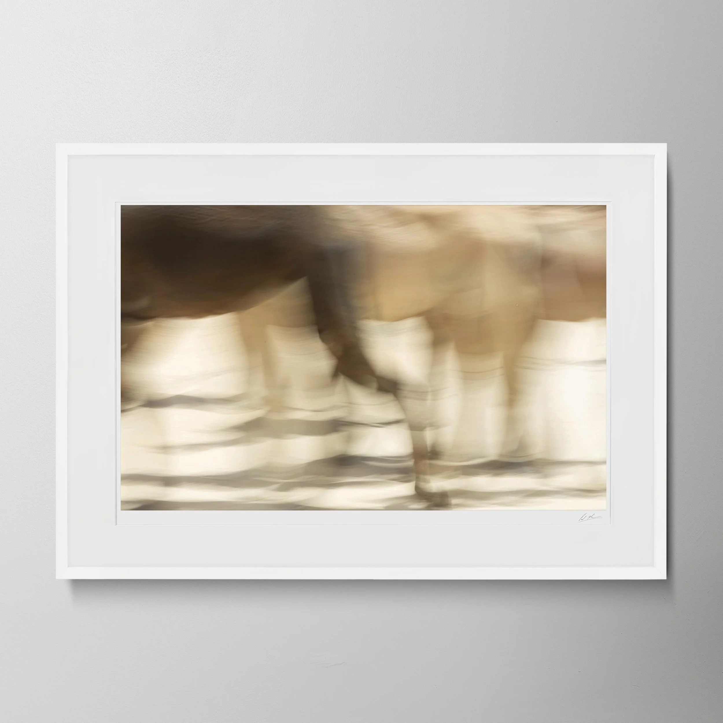 White Landscape-Camels in Liwa 10.jpg