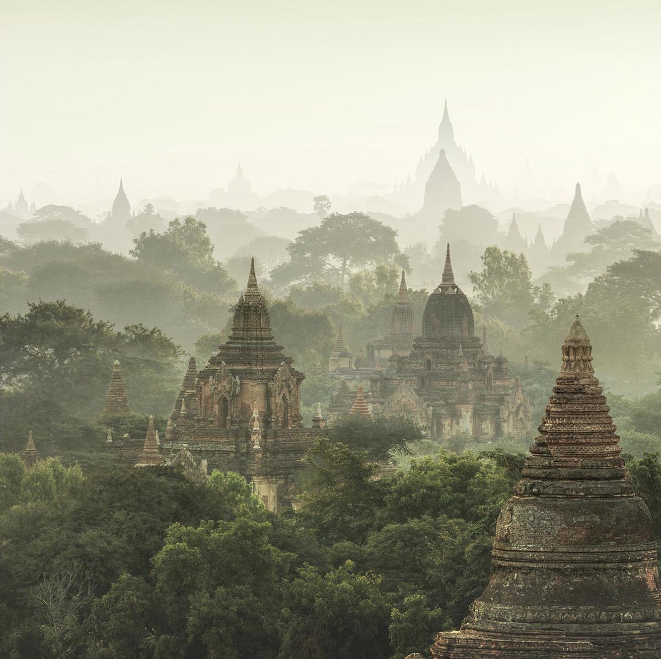 Oak Square - Bagan Temples_0301 option 3 sq copy.jpg
