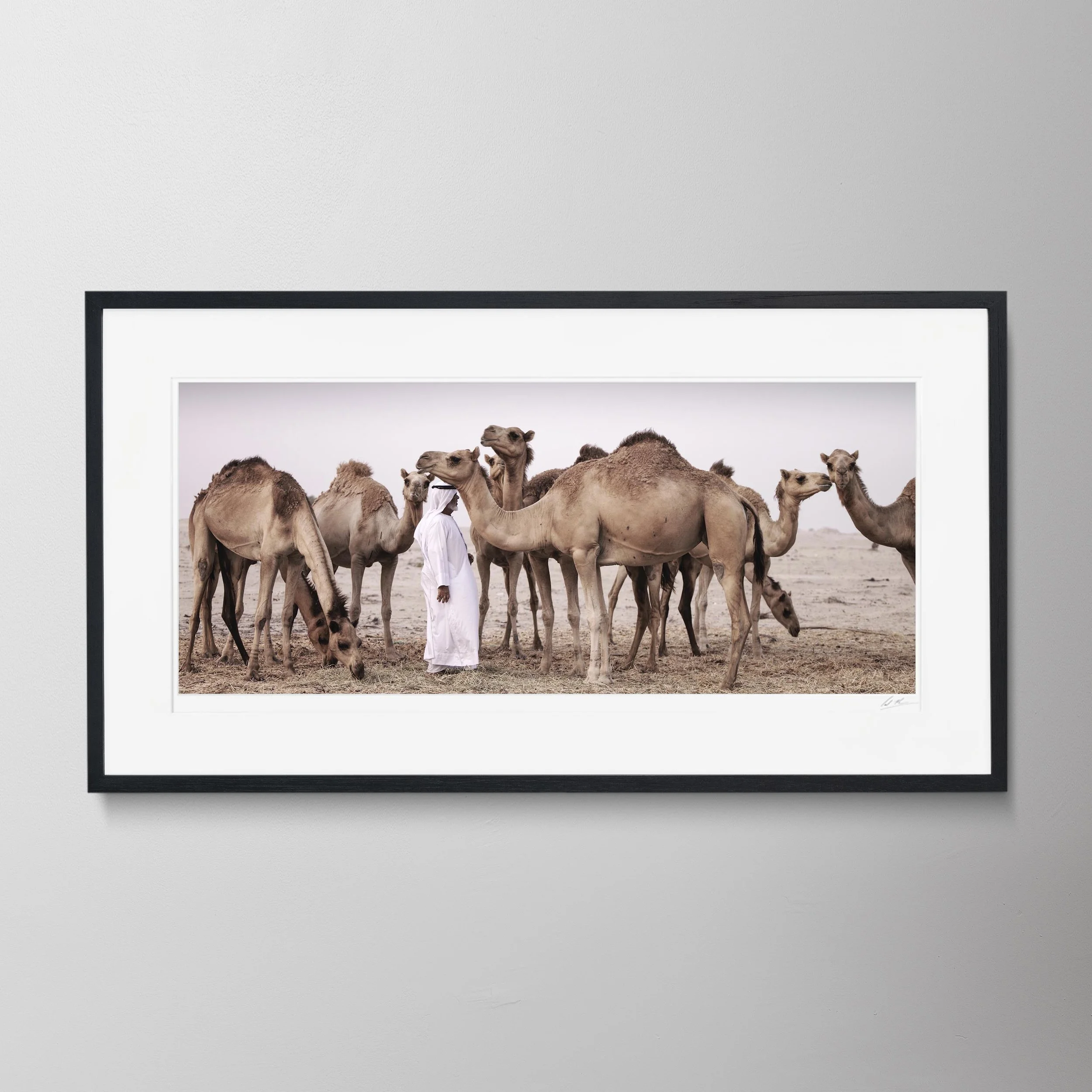 Black Panorama - Obaid & Camels 0025.jpg