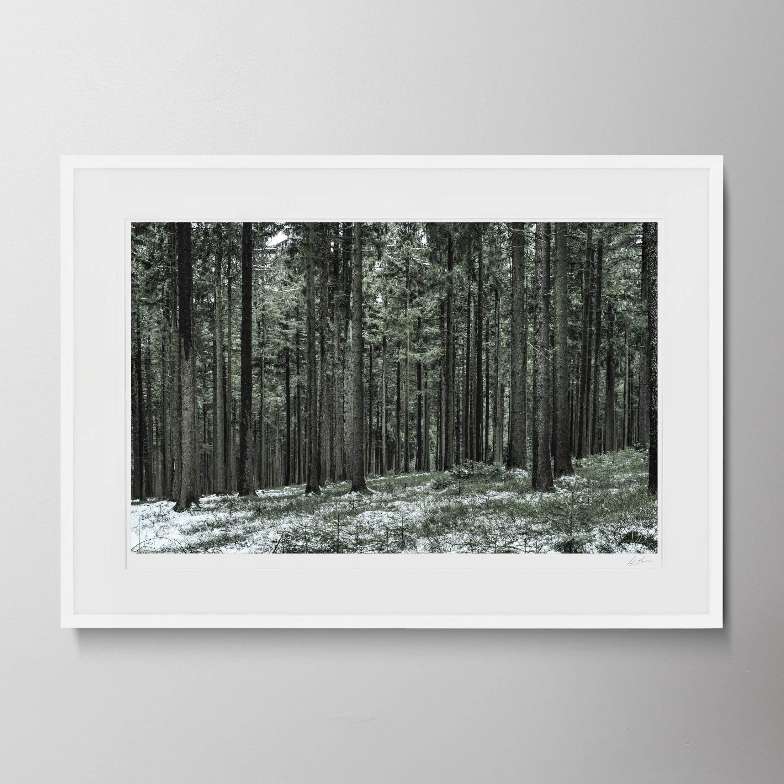 White Landscape-Bavarian Trees_0007 2.jpg