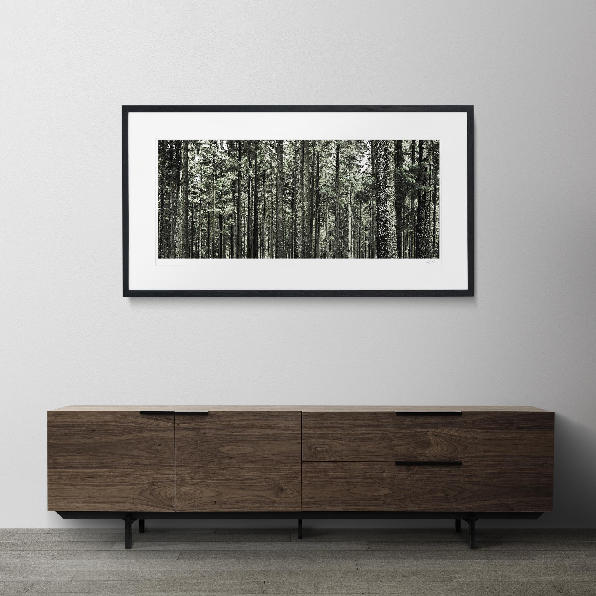 Black Panorama Frame mock up room Bavarian Trees_0011.jpg
