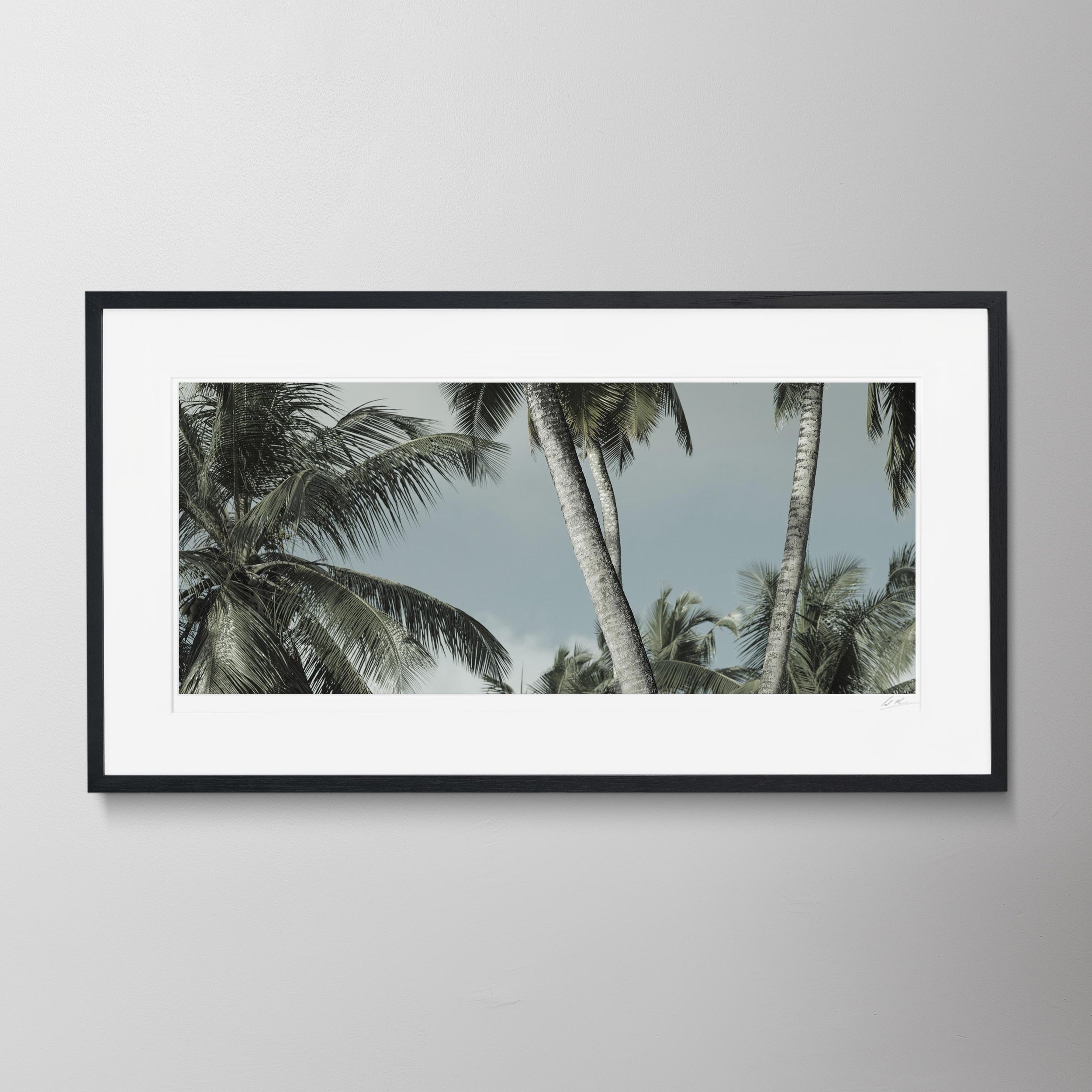 Black Panorama-Palm Trees, Baie Lazare Seychelles_0020.jpg