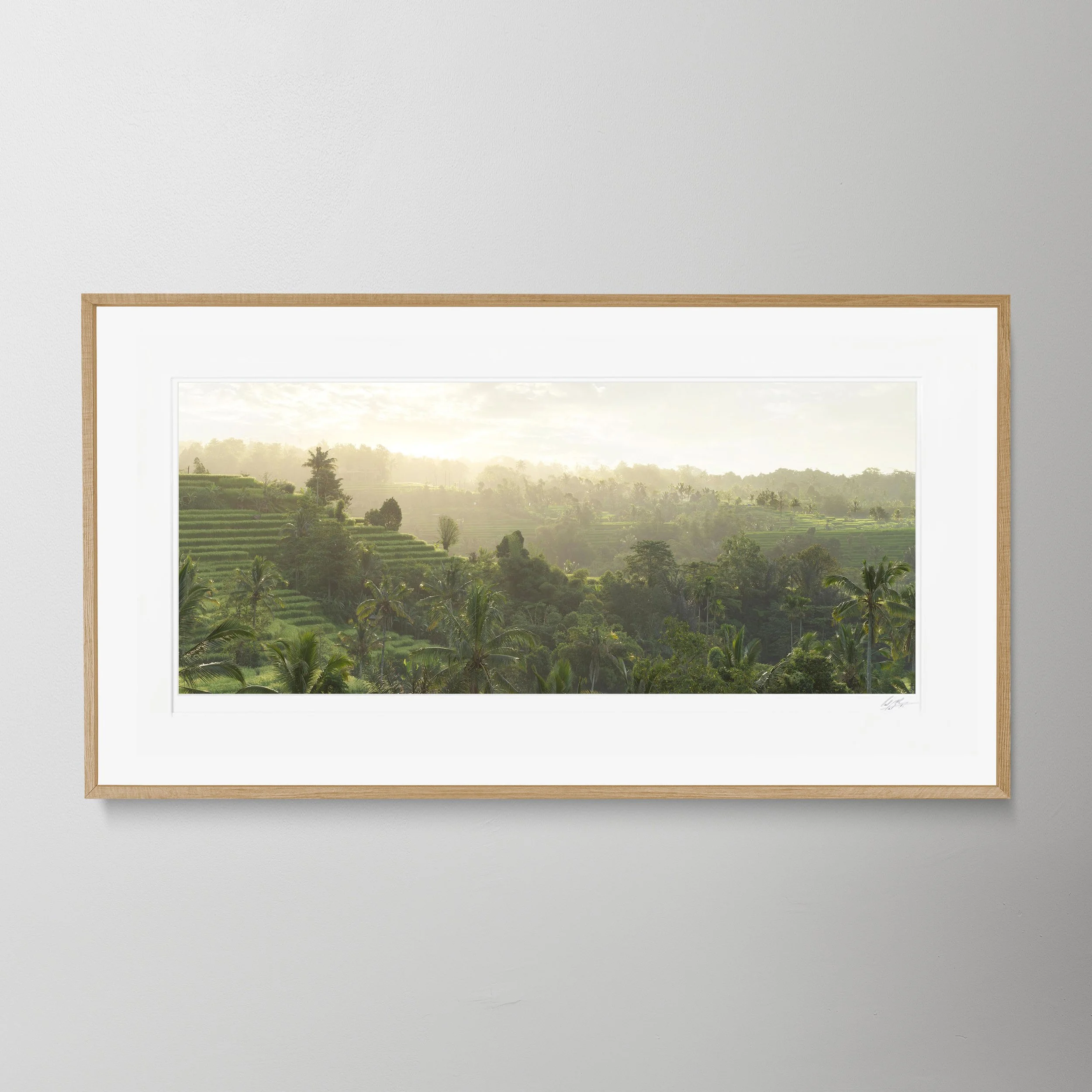 Oak Panorama Rice Fields Bali_0022.jpg