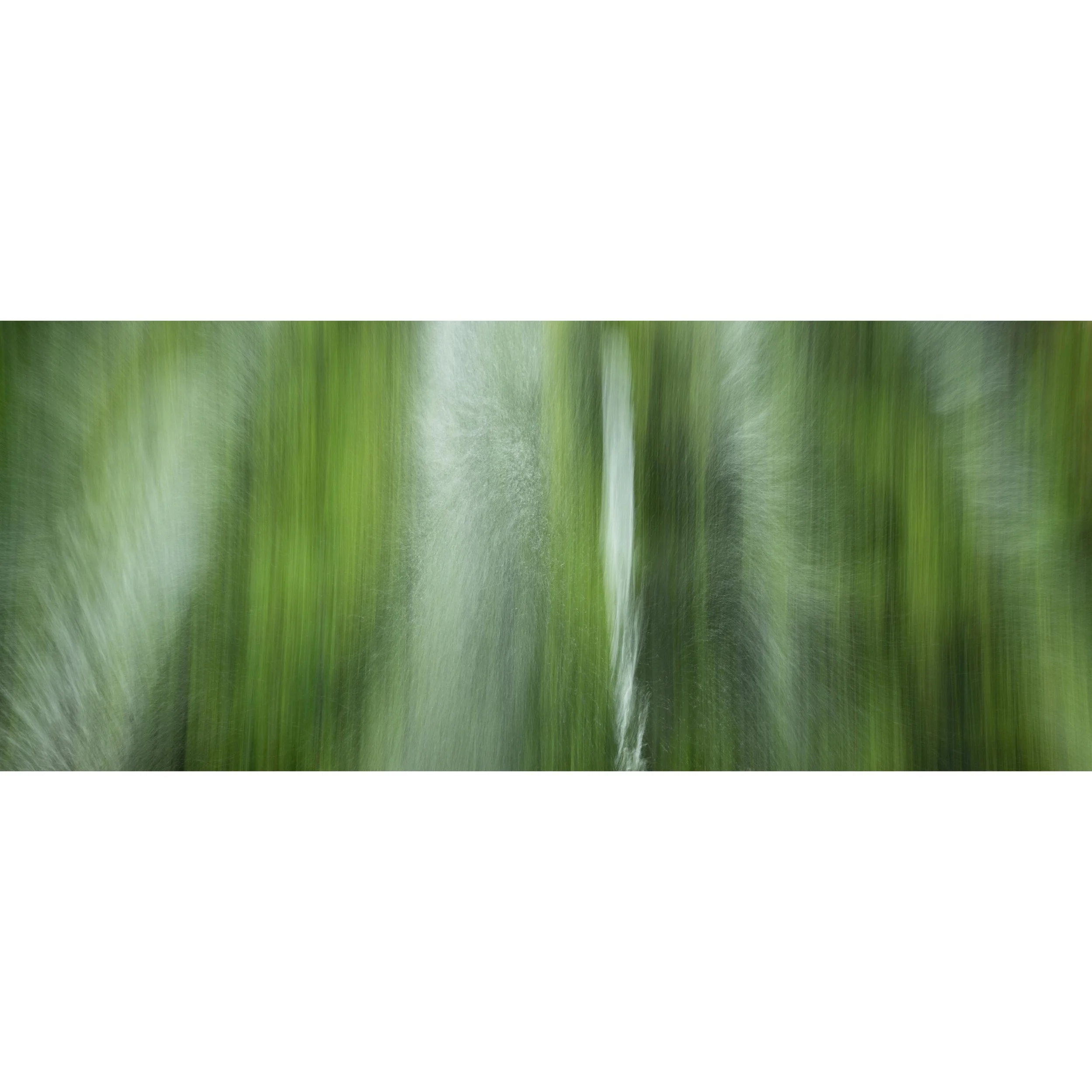 Singapore Botanical Gardens Kinesis  06.jpg