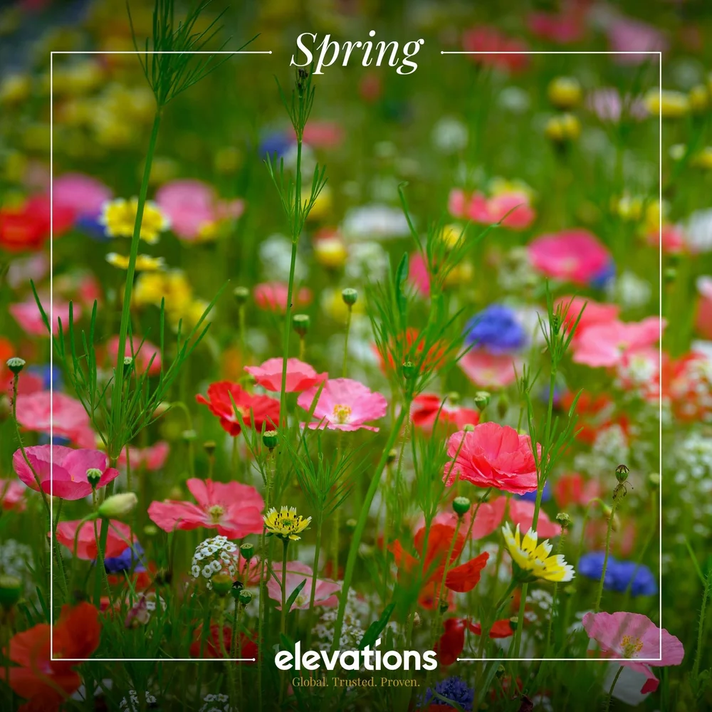 It's the first day of Spring! 🌷🌼💐🌻🌸 We're looking forward to a new season and all the positivity that comes with it!

#spring #springday #newseason #eventproduction #eventprofessionals #eventindustry #hospitality #liveevents #global #trusted #pr
