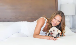 Barefoot Mama | Natural Wellness Coaching for Dogs & More