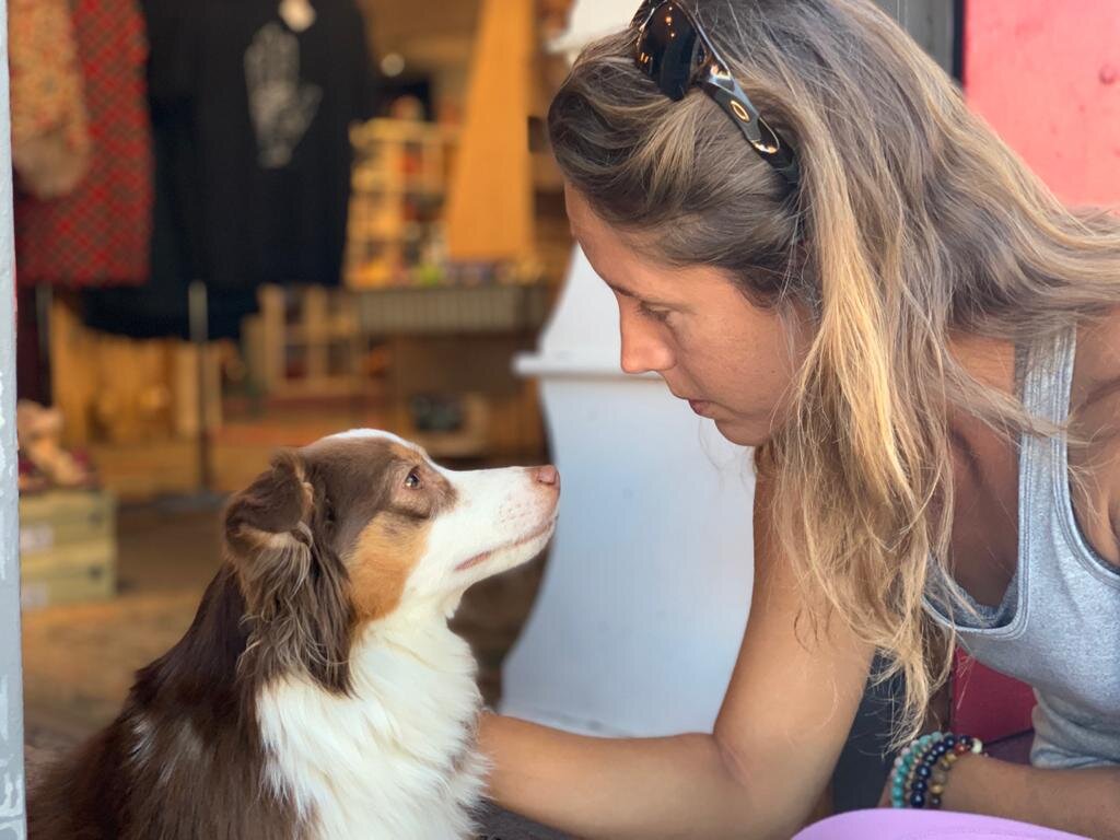 intuitive animal communication consultation telepathic connection session with pets remote animal communication service USA spiritual communication with dogs and horses