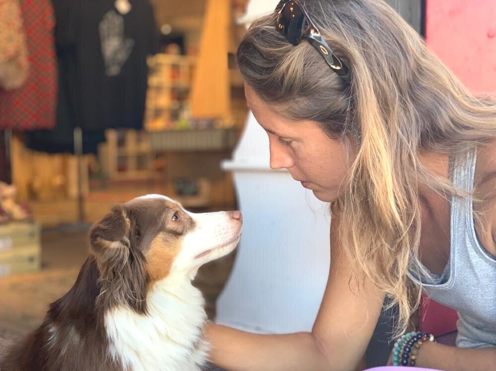 horse telepathic communication session remote telepathic communication with pets intuitive animal connection service