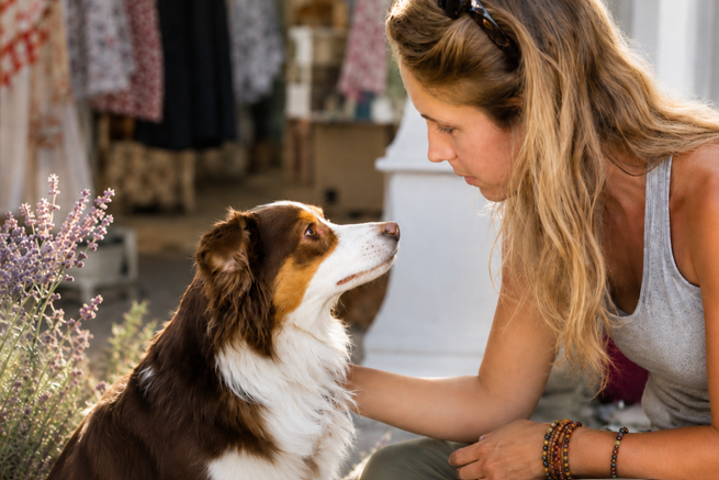 Animal telepathic communication offering intuitive insight into an animal's thoughts, feelings, and needs