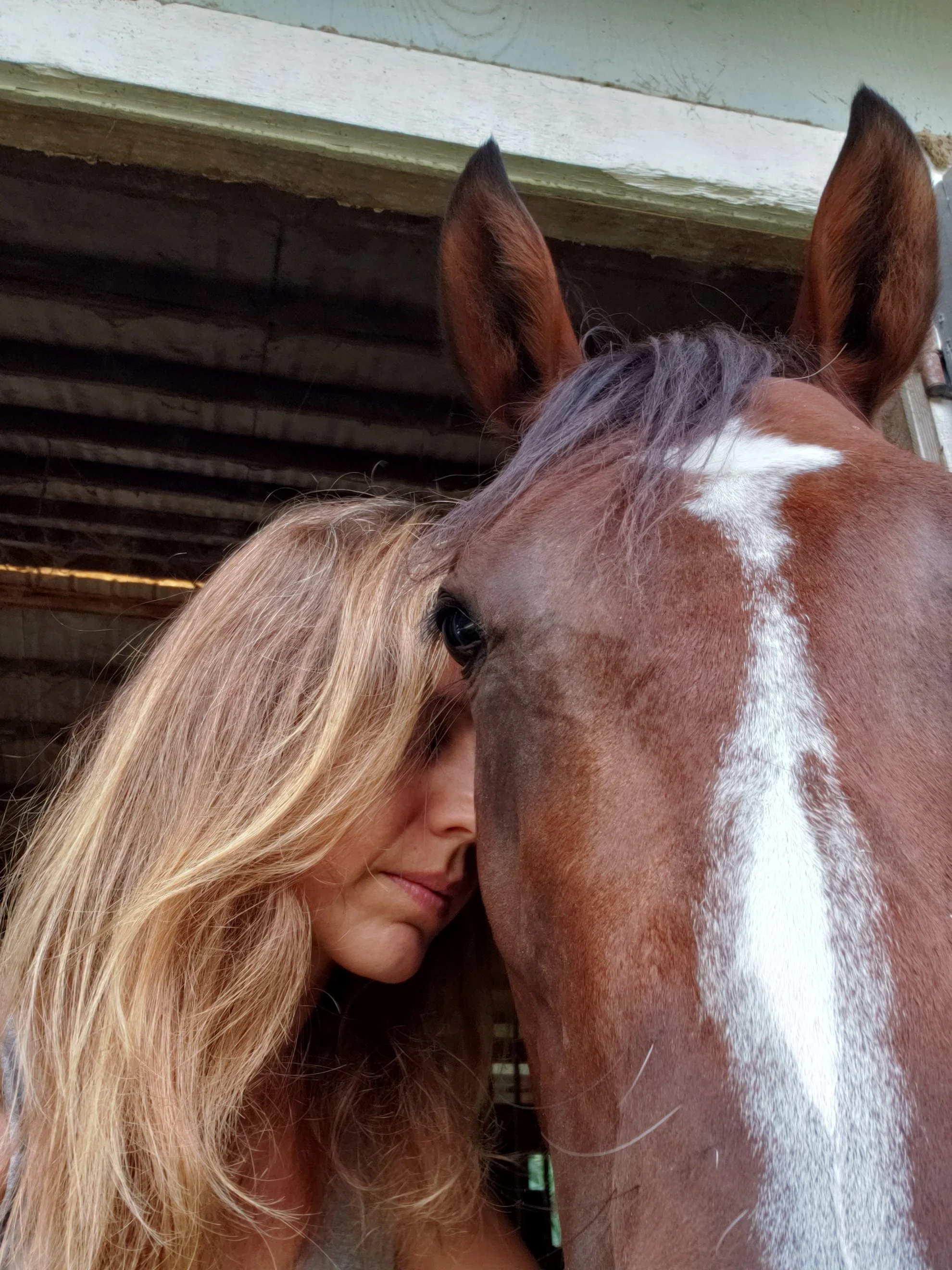 Equine bodywork in Wellington, Horse Bodywork South Florida