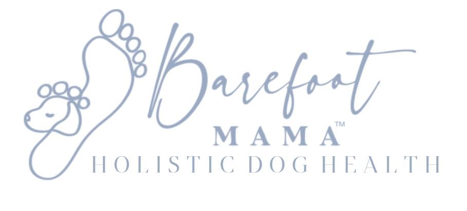 Barefoot Mama - Dog Natural Wellness Coaching &amp; Animal Reiki by Veronica Gluecksmann