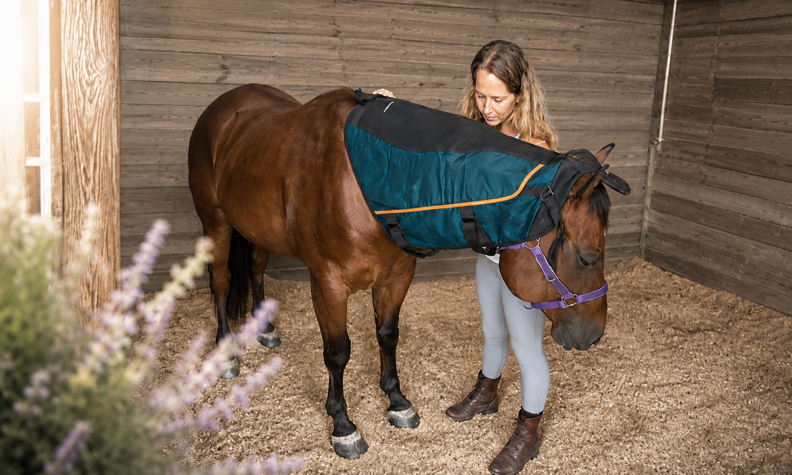 Veronica providing BEMER PEMF therapy and myofascial release to a horse