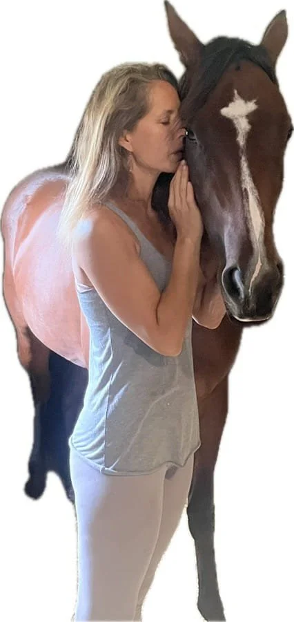 holistic horse bodywork and fascia release equine massage and PEMF therapy session dog bodywork for pain relief and relaxation horse wellness therapy in Wellington Florida myofascial release for horses and dogs