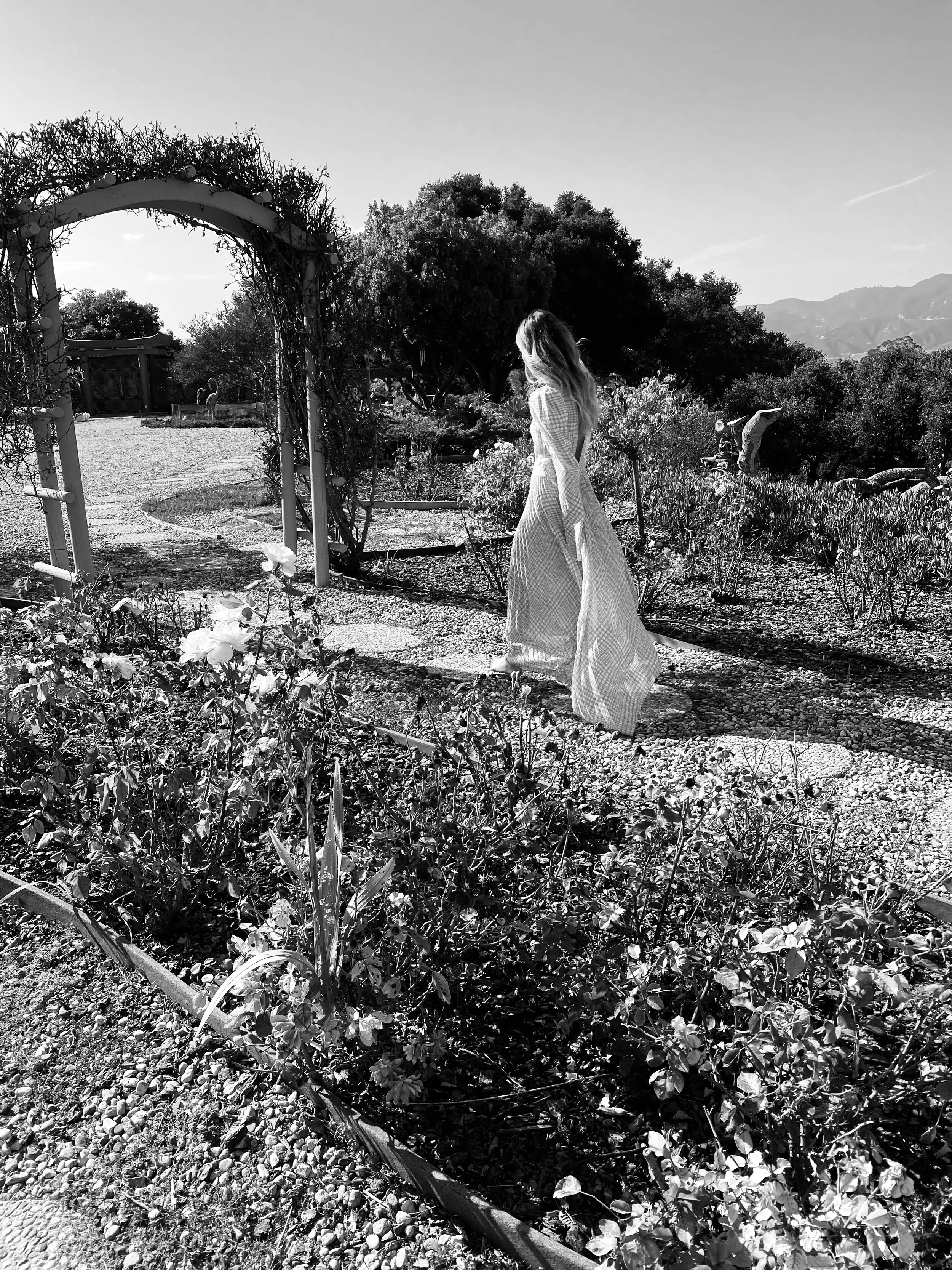 KittySchur_AudenShop