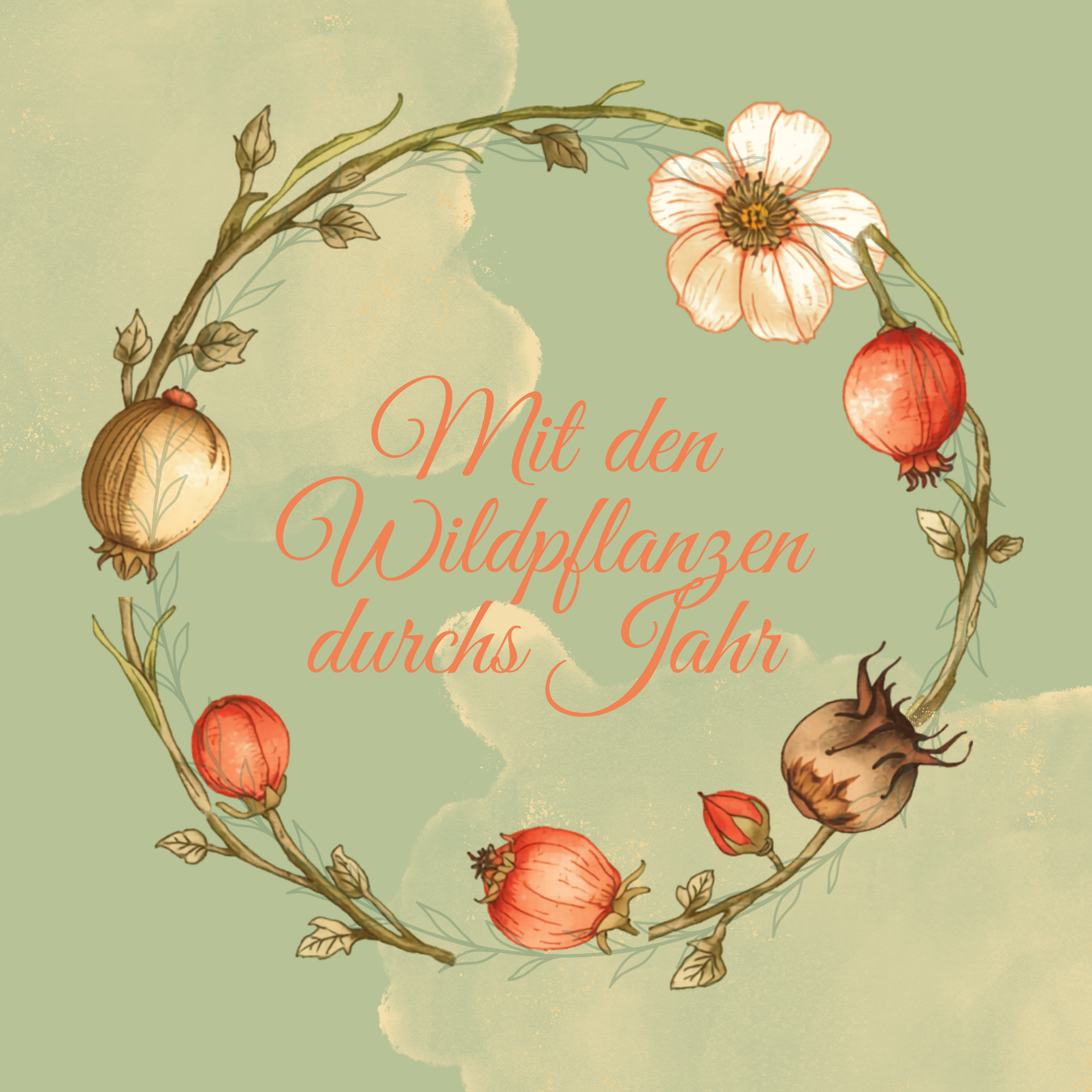 Mit Wildpflanzen durch's Jahr