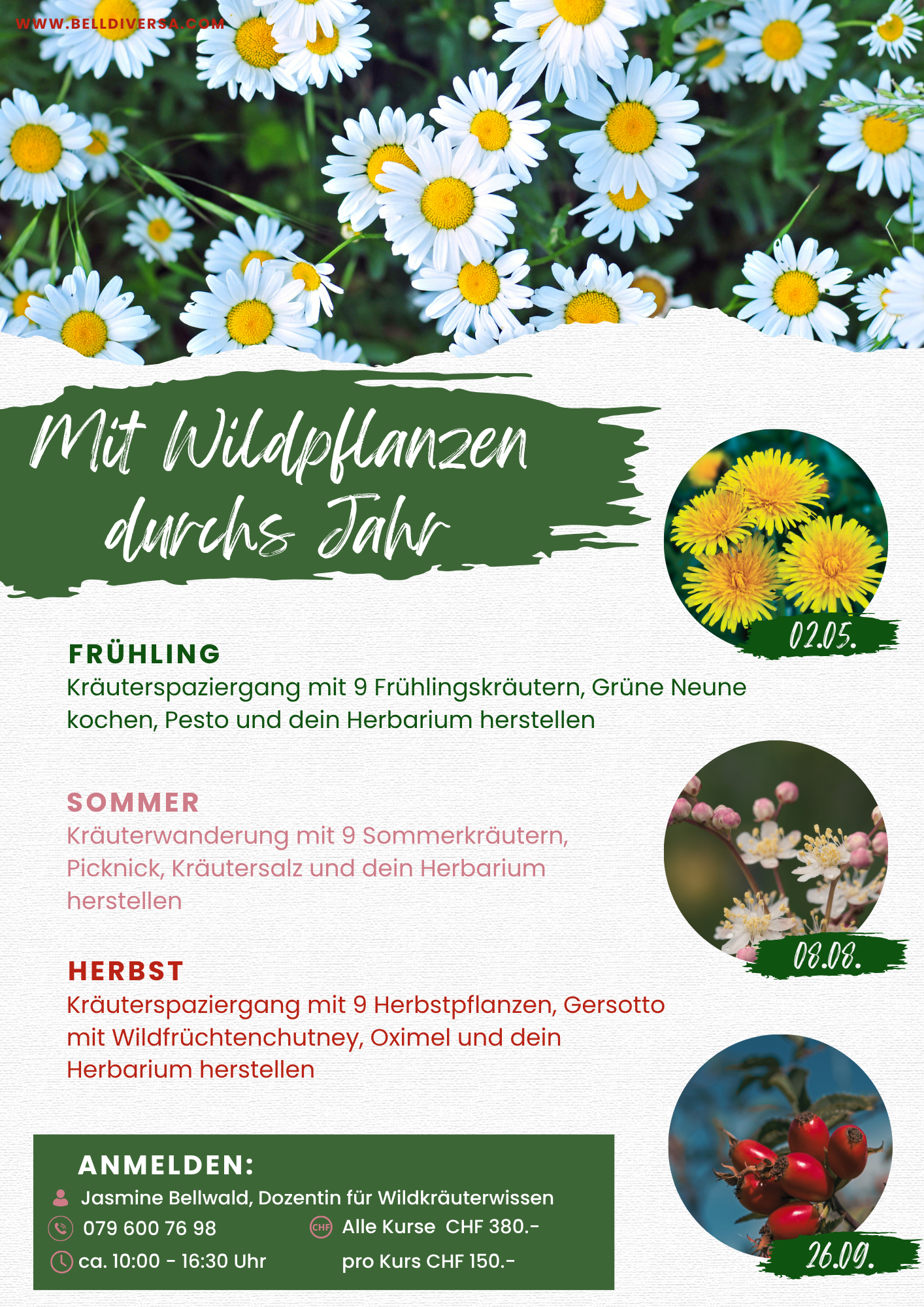 Mit Wildpflanzen durchs Jahr.png