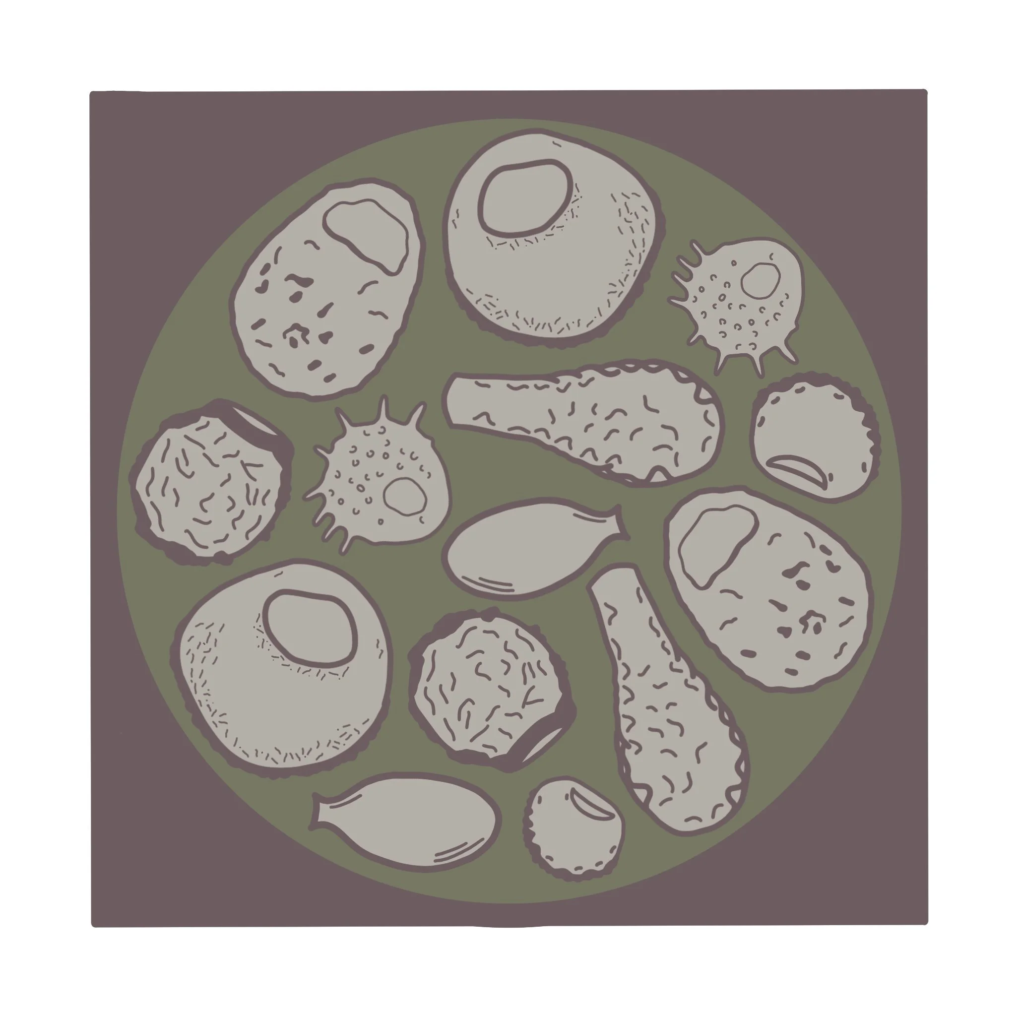 'Forested Bog in Sudbury, ON' digital art displaying the various testate amoebae that make up a forested bog system.