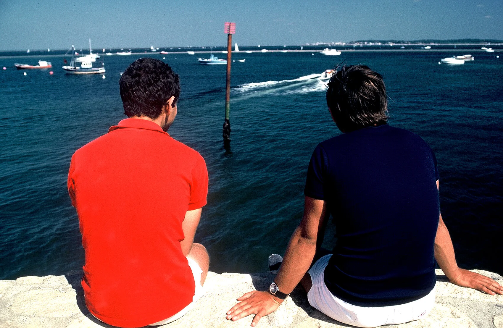 Le Basin, La Vigne, France