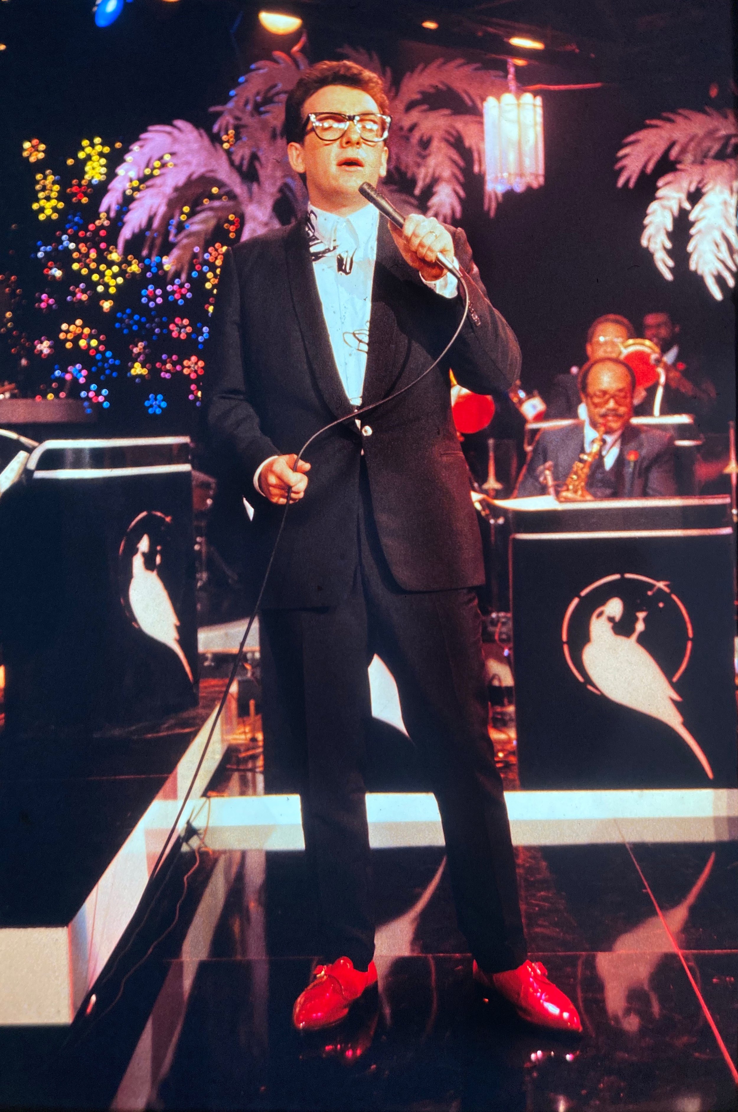 ElvisCostello(MKarzen).jpg
