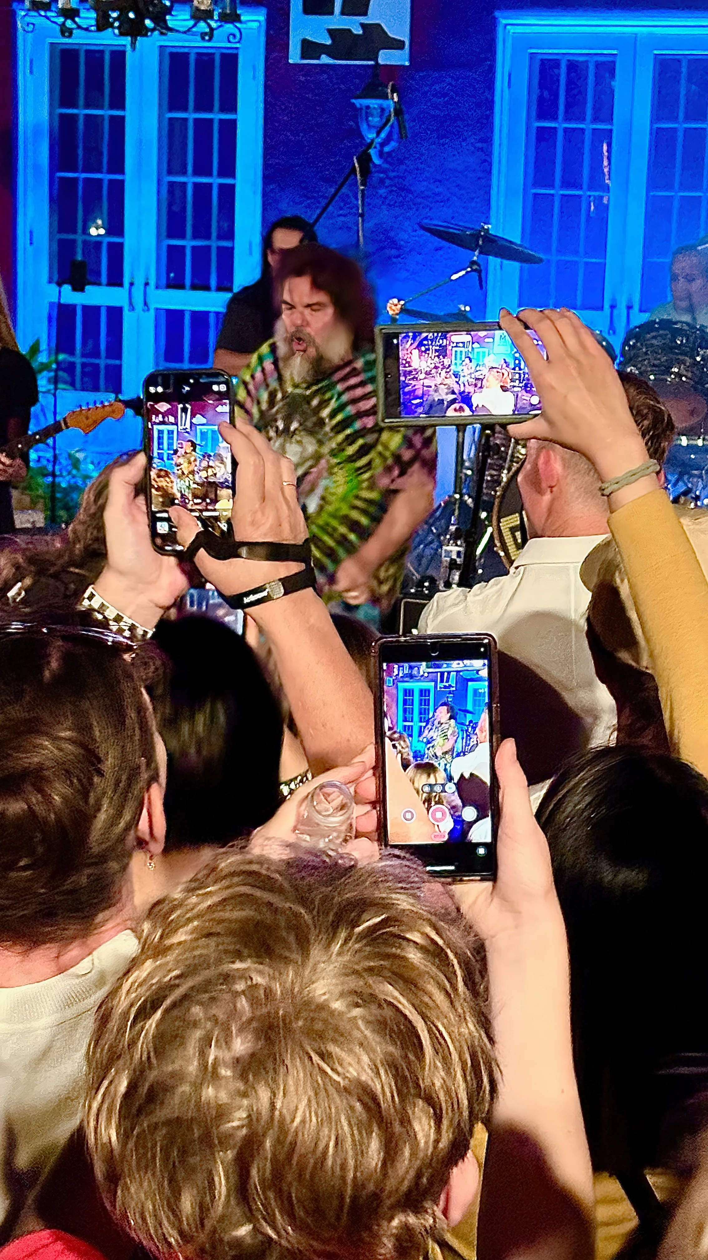 Jack Black-gogomusack.jpeg