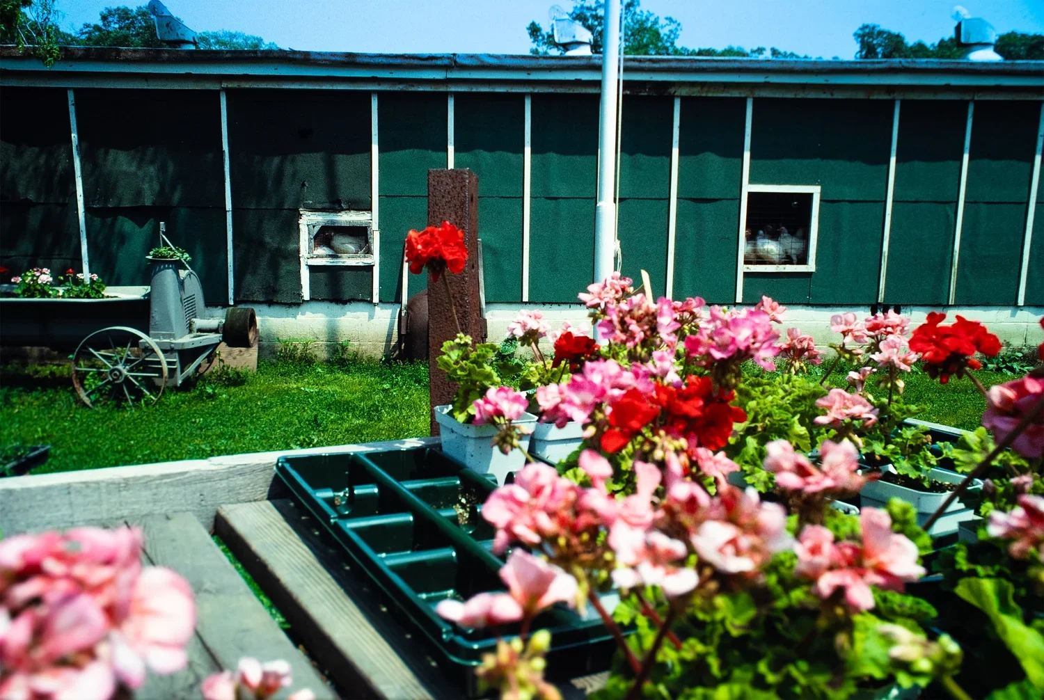 South Hampton 1986