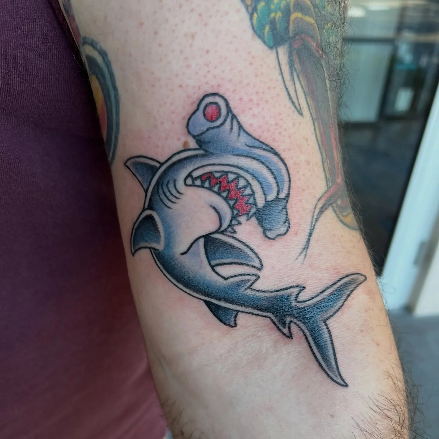 🦈fun shark walkin