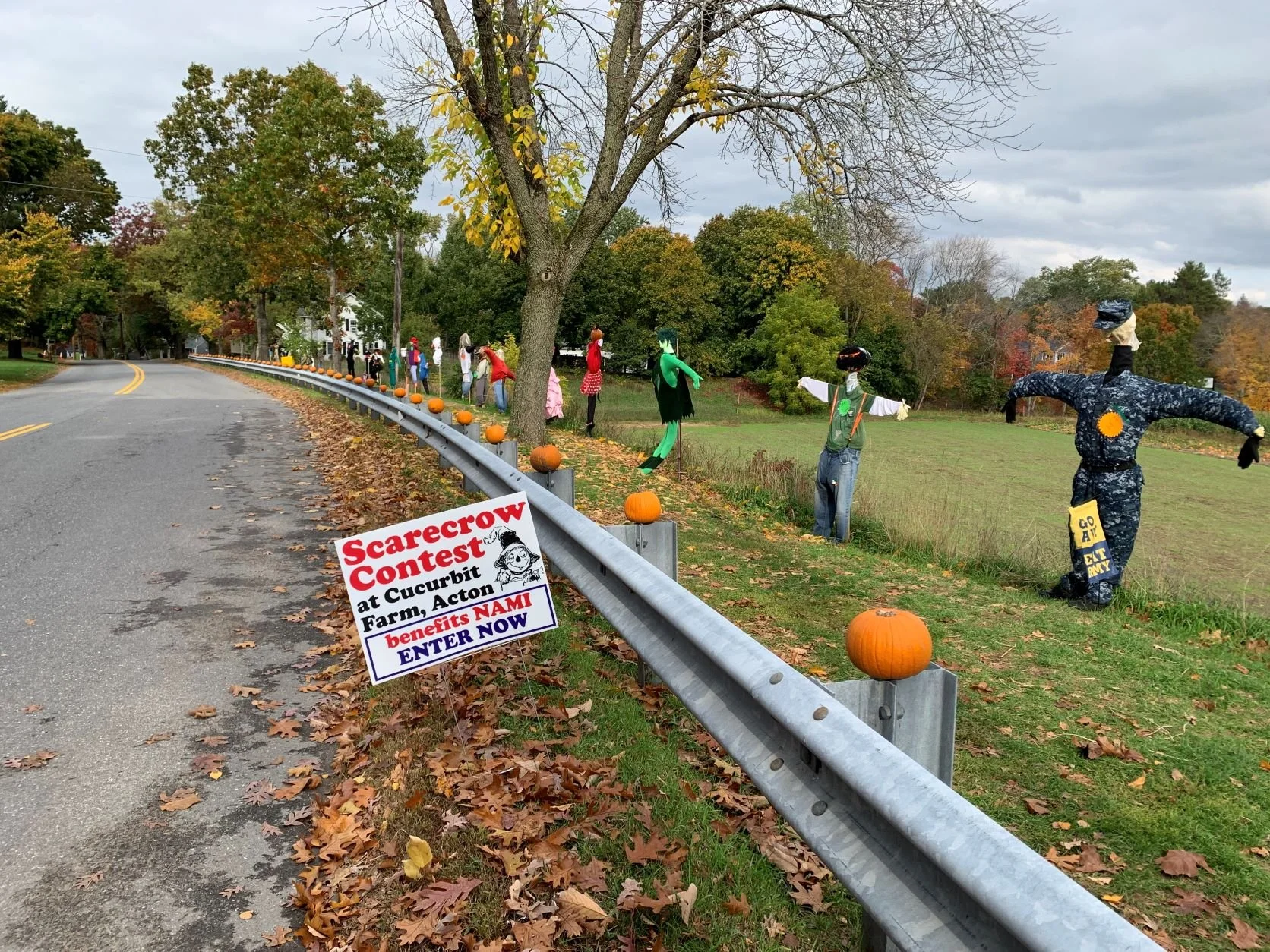 Introducing the 2022 “Stand Up to Stigma” Scarecrows!
