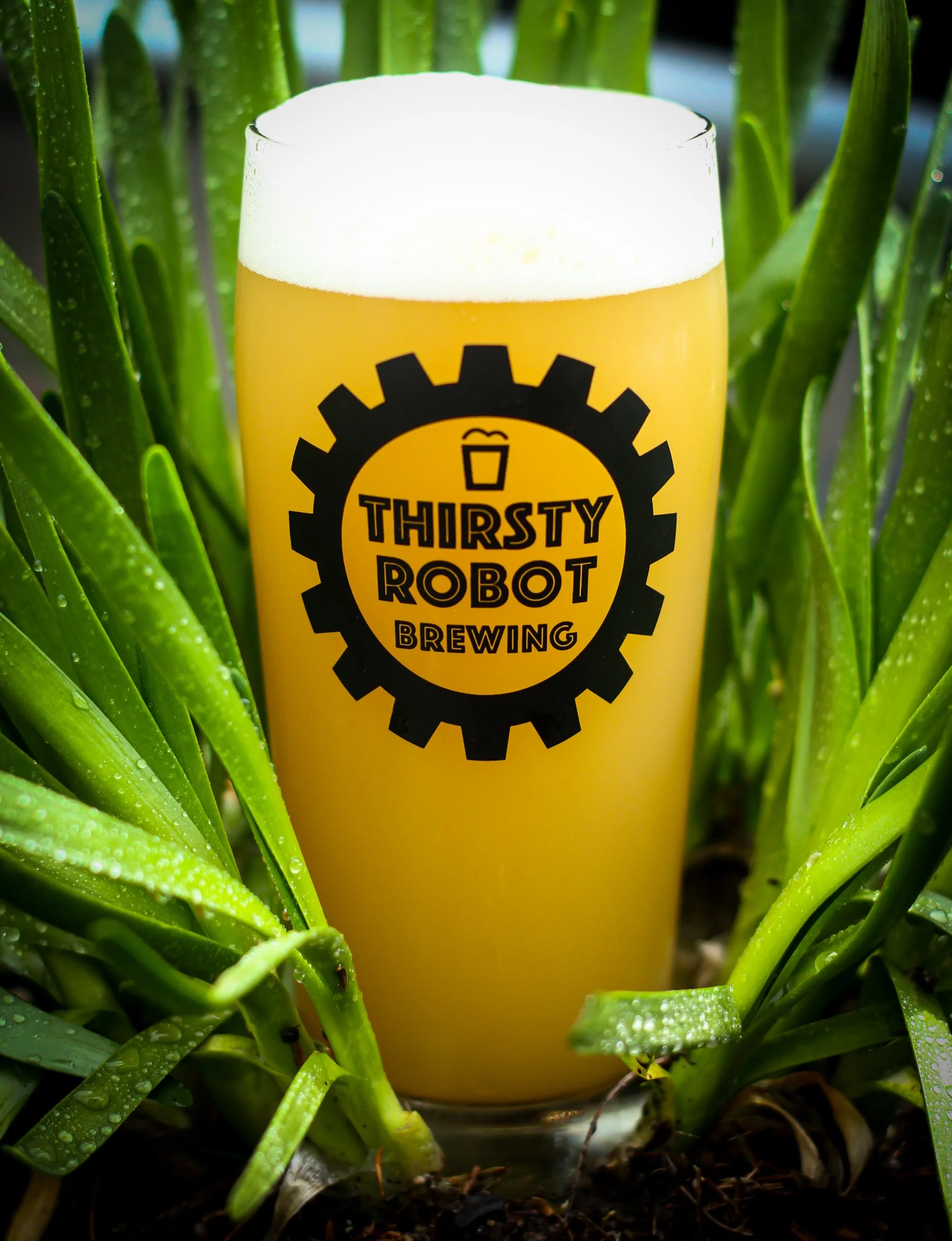 A glass of beer with a foam head, branded with Thirsty Robot Brewing logo, surrounded by green plants with droplets on the leaves.