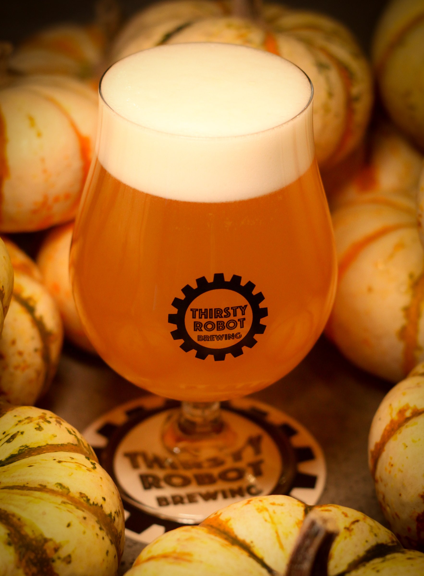 A glass of beer with a frothy head, branded with 'Thirsty Robot Brewing,' surrounded by small decorative pumpkins.