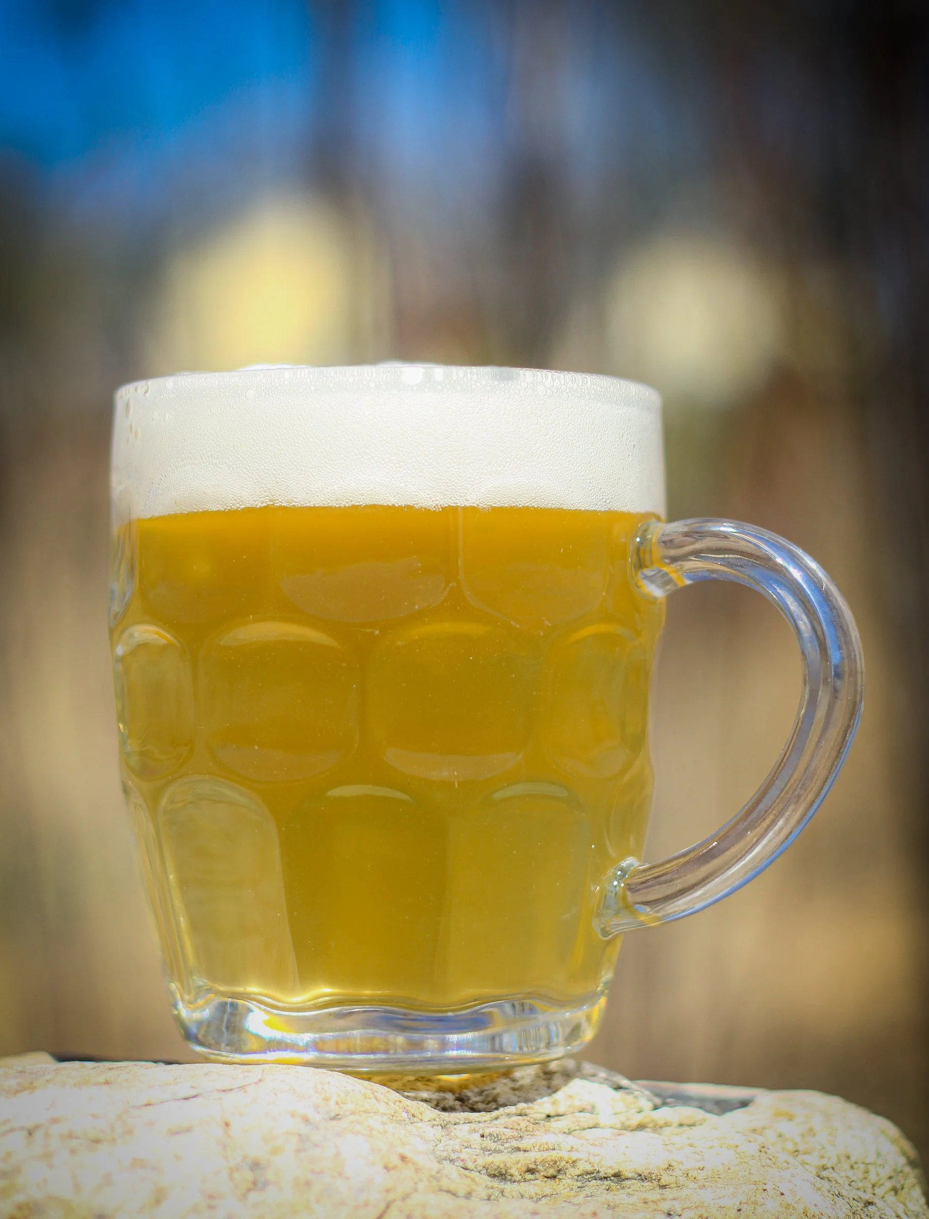 A glass mug filled with light-colored beer and a foamy head, placed on a rock outdoors with a blurred background.