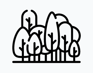 Line drawing of a stand of evergreen and leafy trees, representing a changing landscape and adapting to conditions