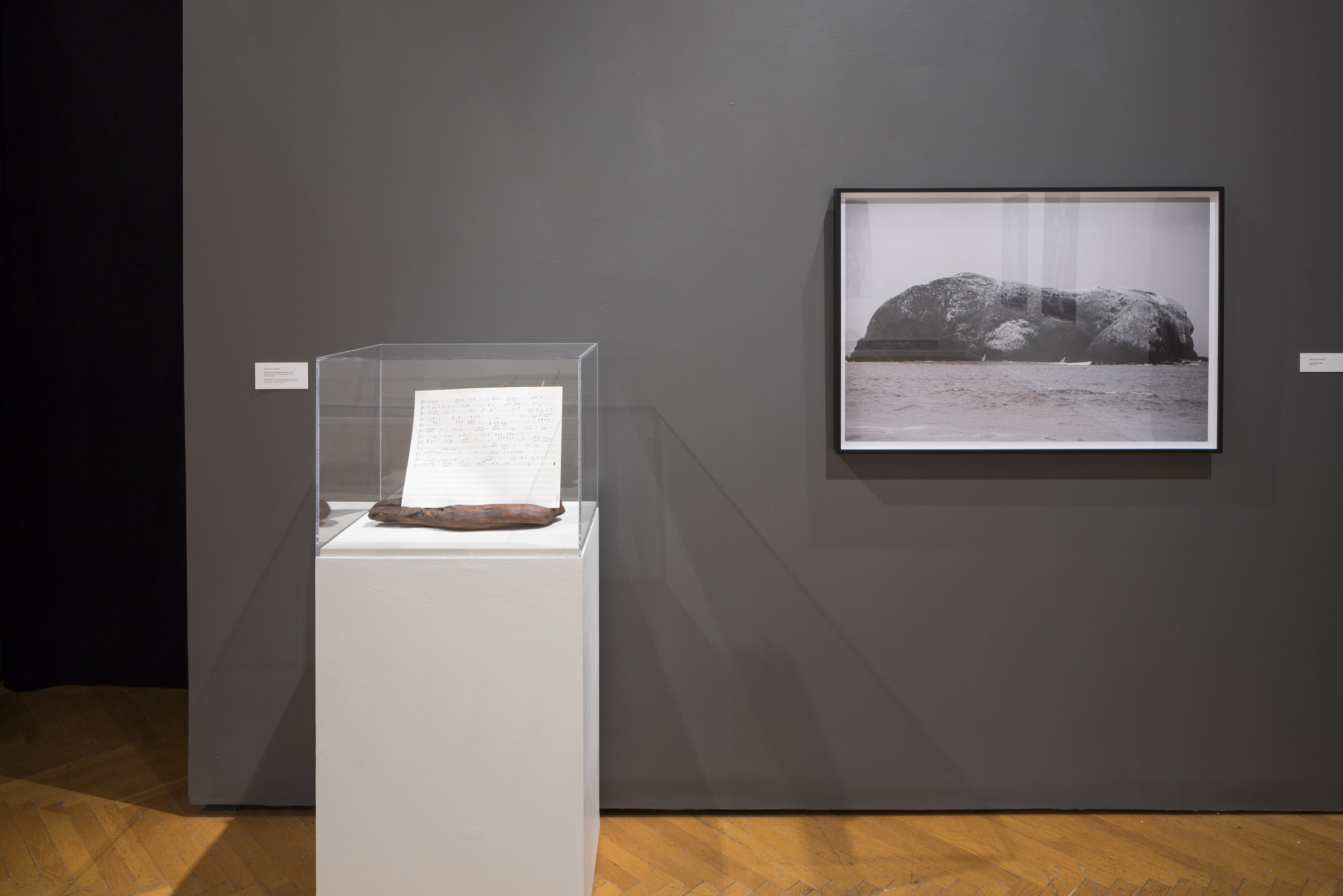 Ocean Lines (Installation)