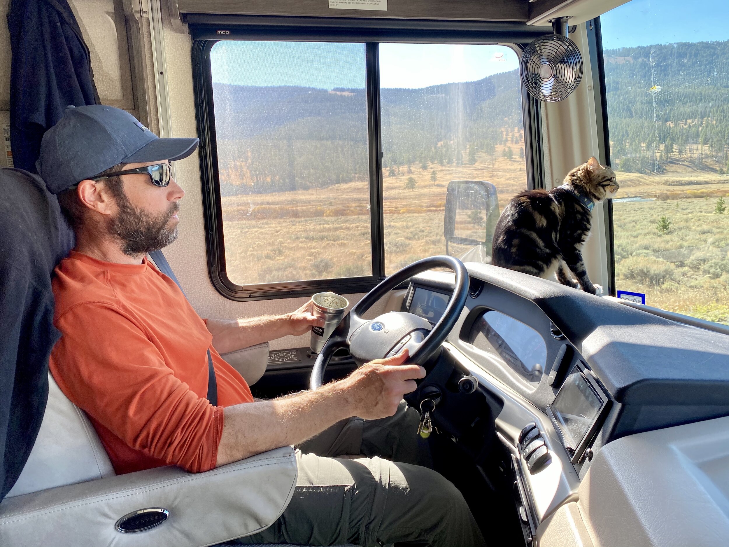 Cat is my co-pilot.
