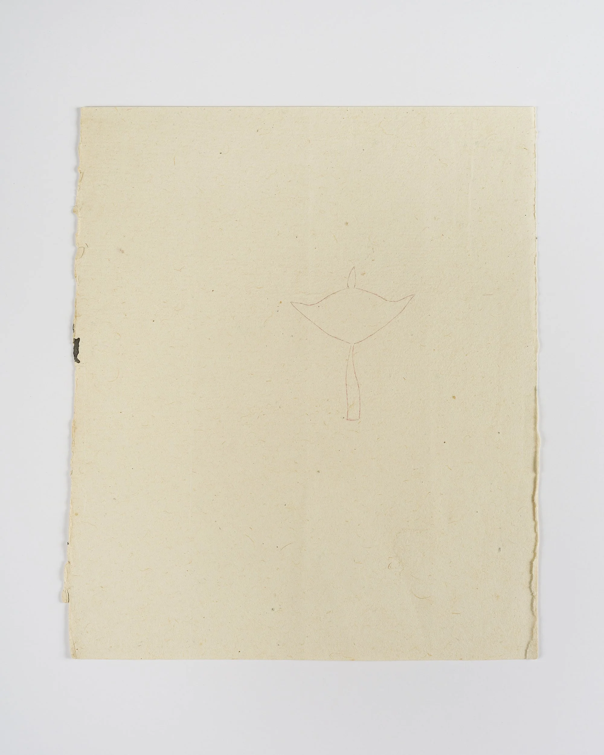  Léonie Guyer  Untitled, IP-12 , 2016 pencil and colored pencil on 19th century Indian ledger paper,  8 x 6 7/8 in. (frame: 11 1/8 x 9 3/4 x 1 1/4 in.) Courtesy of the Artist 