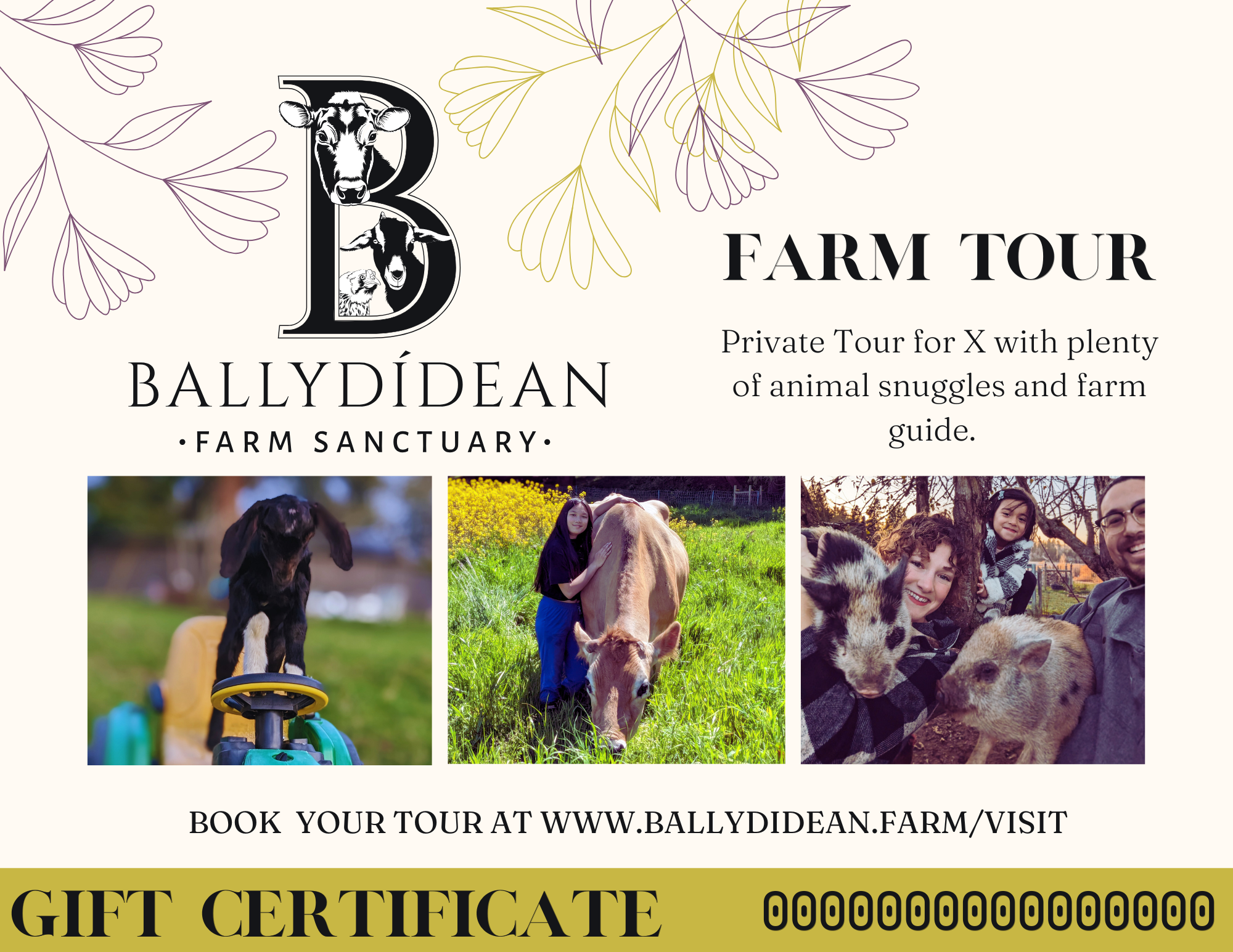 Tour Gift Card (Big Group)