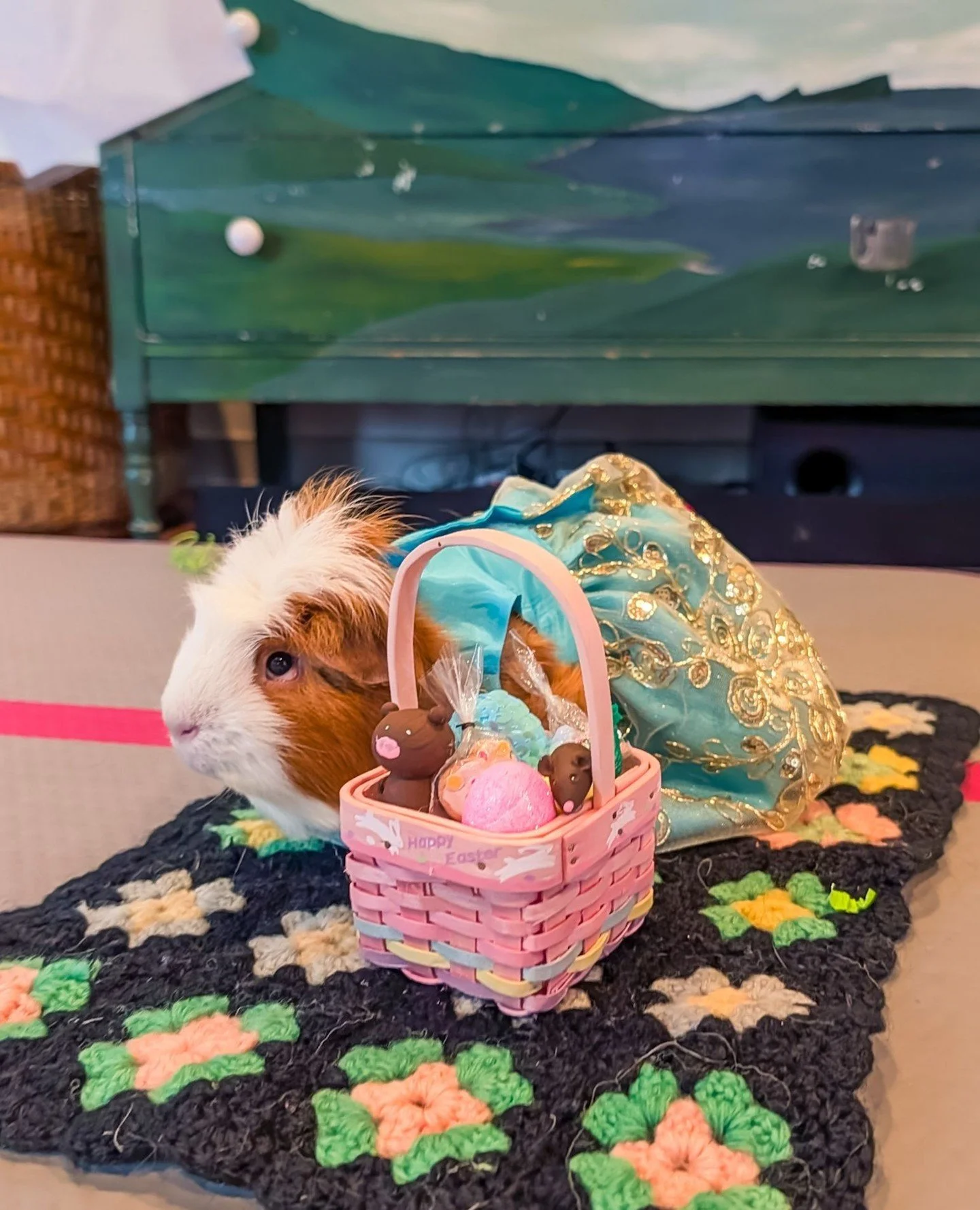 Gwen's Nana sent her her some beautiful things for her American Girl dolls: a handmade quilt like great grandma Gertrude used to make, and a gilded baby blue dress.⁠
⁠
Gwen... had other ideas of who would be able to use those best 🤣⁠
⁠
⁠
#farmsanctu