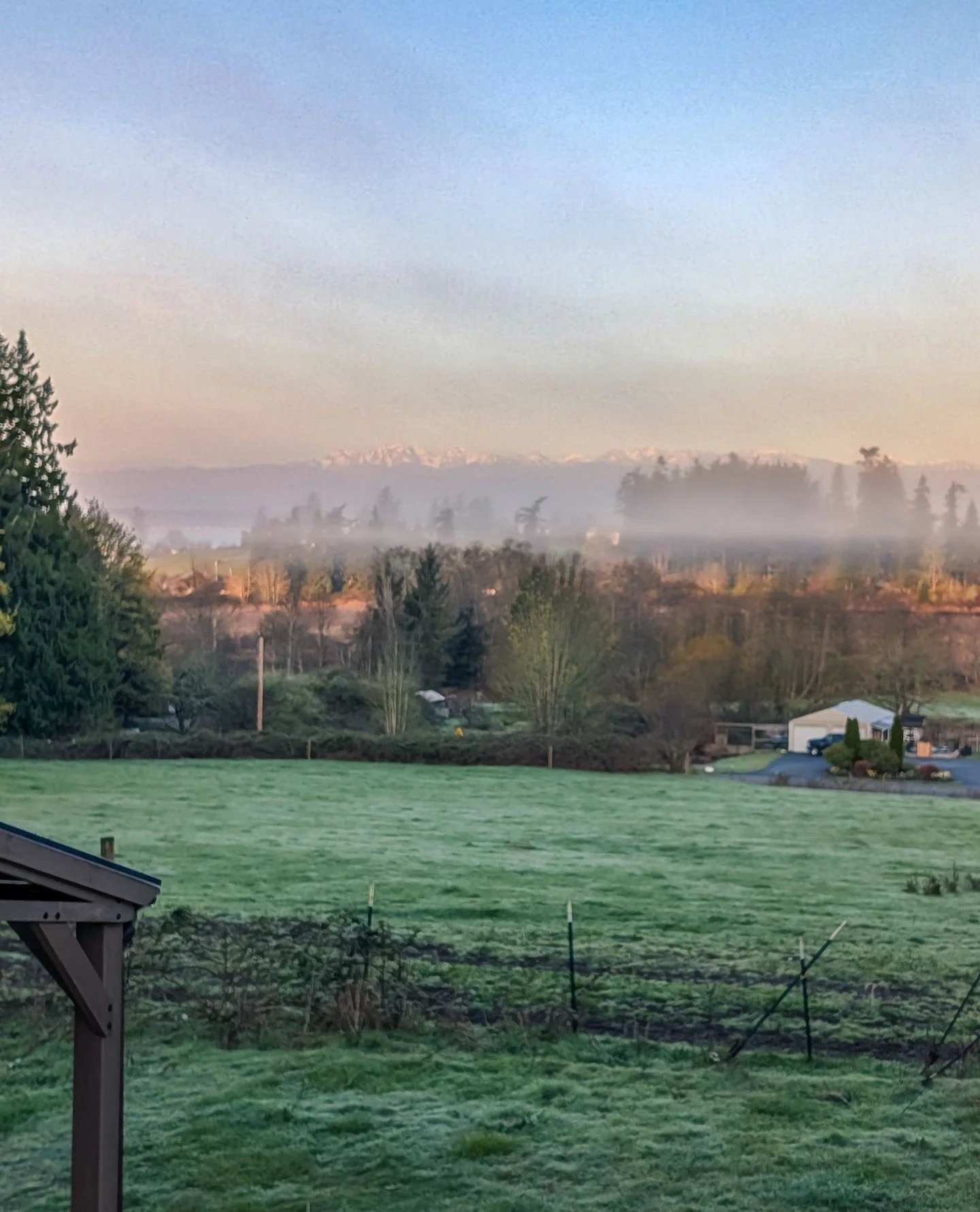 🌞 Sunrise⁠
🌫️ Fog⁠
🏔️ The Olympics⁠
⁠
⁠
#farmsanctuary #animalsanctuary #rescue #friendsnotfood #herewithusnotforus #govegan #goveg #vegan #veganfortheanimals #animalsofinstagram #someonenotsomething #whidbeyisland⁠
⁠
(Posted by @anstosa)