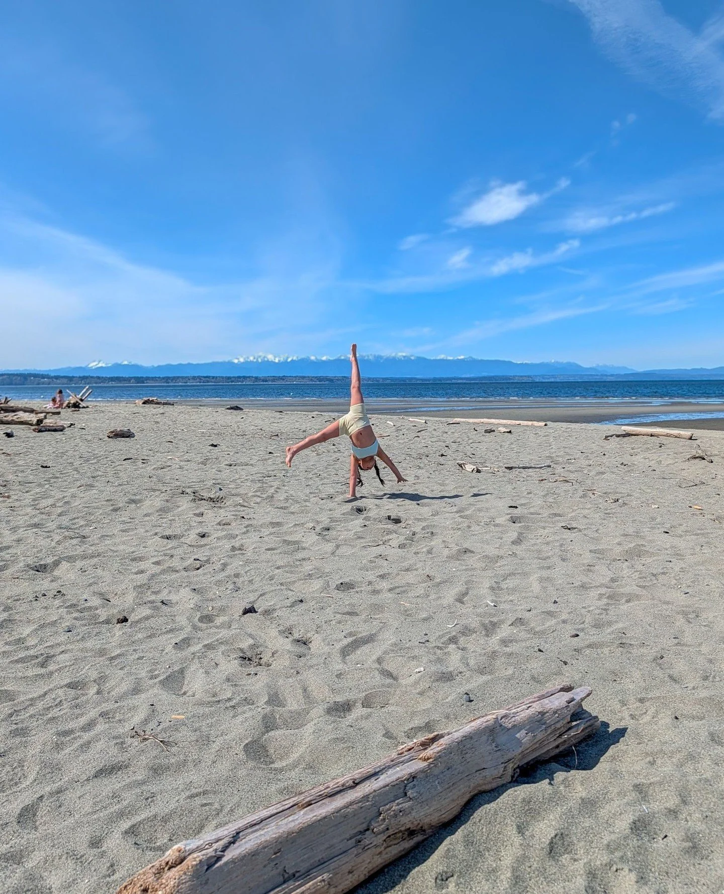Cartwheels on the beach! Gwen is loving the sun and warmer weather as much as the animals are.⁠
⁠
⁠
#farmsanctuary #animalsanctuary #rescue #friendsnotfood #herewithusnotforus #govegan #goveg #vegan #veganfortheanimals #animalsofinstagram #someonenot