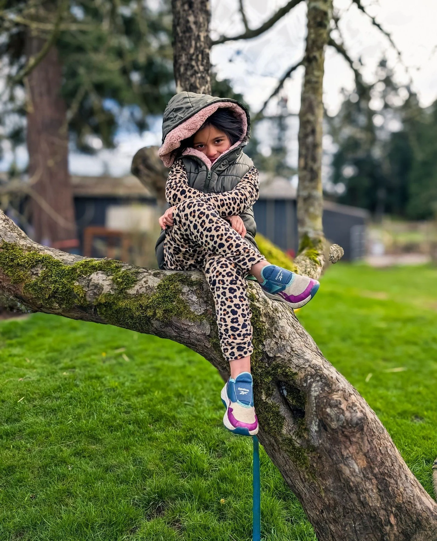 Diva in a tree 💃🏽⁠
⁠
⁠
#farmsanctuary #animalsanctuary #rescue #friendsnotfood #herewithusnotforus #govegan #goveg #vegan #veganfortheanimals #animalsofinstagram #someonenotsomething #whidbeyisland⁠
#farmgirl #farmhand #gwednesday⁠
⁠
(Posted by @an