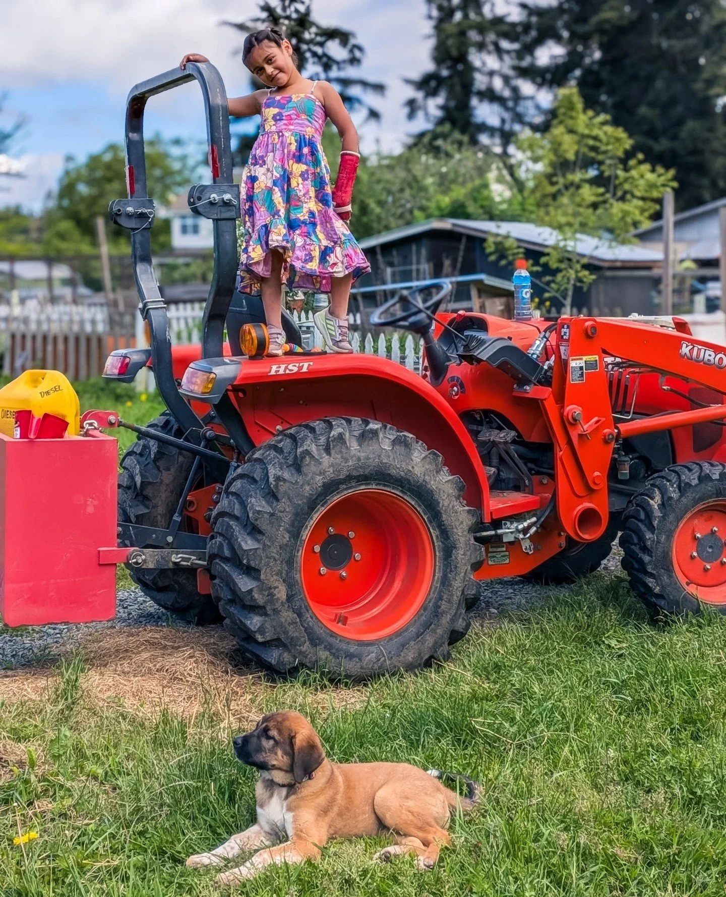 A diva and her dog 💃🏽⁠
⁠
⁠
#farmsanctuary #animalsanctuary #rescue #friendsnotfood #herewithusnotforus #govegan #goveg #vegan #veganfortheanimals #animalsofinstagram #someonenotsomething #whidbeyisland⁠
#farmgirl #farmhand #gwednesday⁠
#dogs #dogso