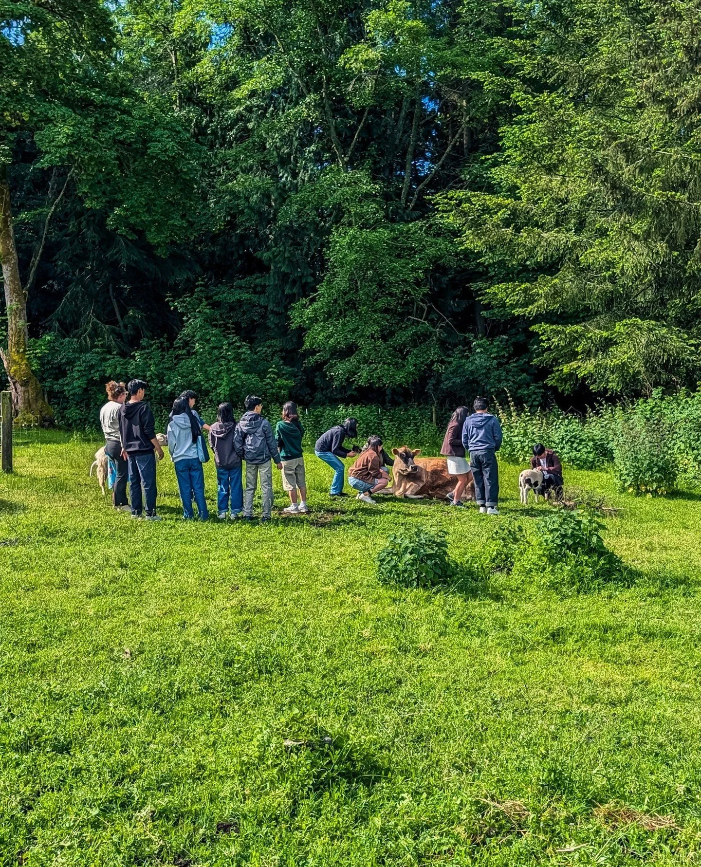 A group of college students came down from BC for a visit before summer classes. They were really fun and took lots of photos on their fancy cameras but they didn't tag us in any photos so we haven't seen them yet! Rude! (jk it's fine... but also we 