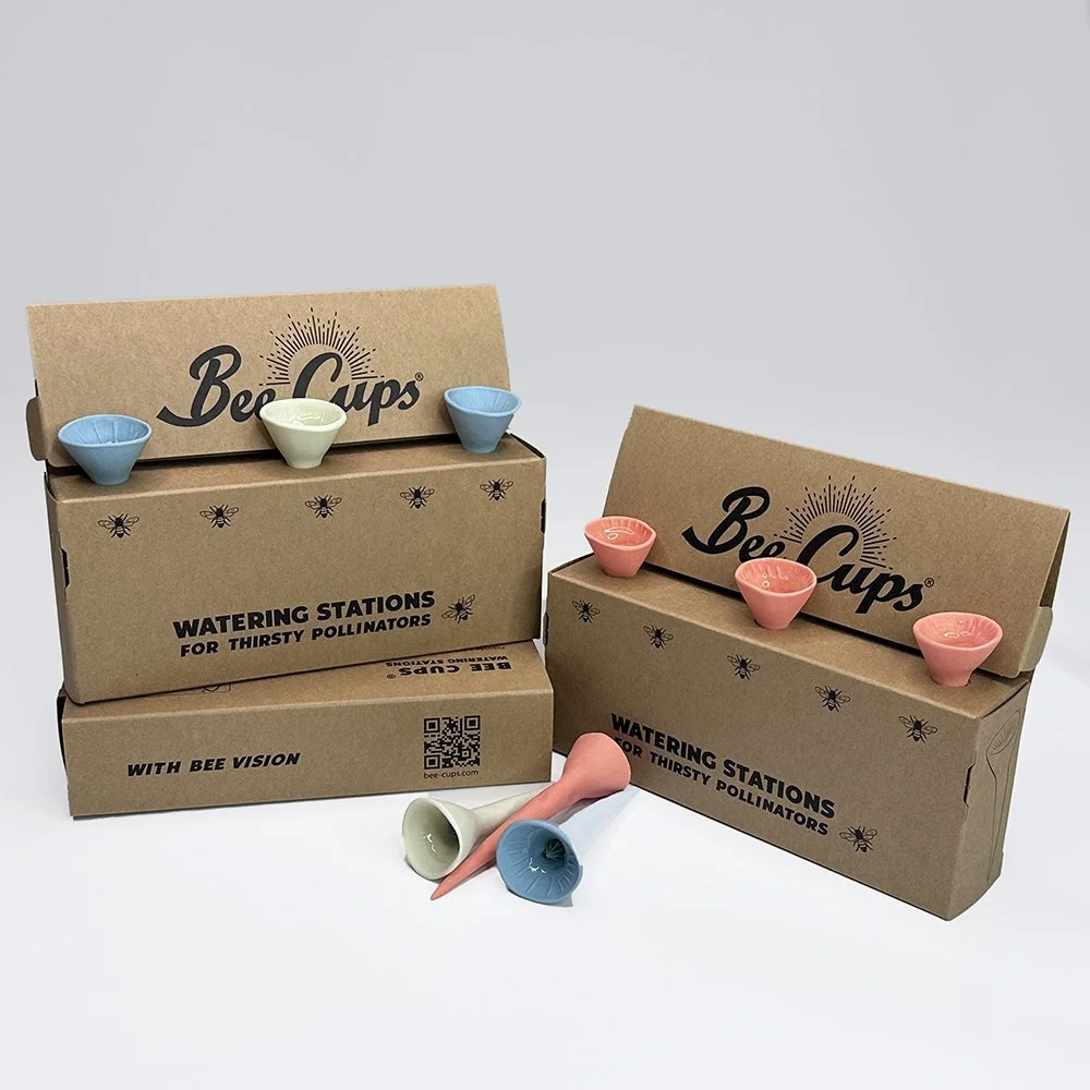 Beachy pack (extra value)