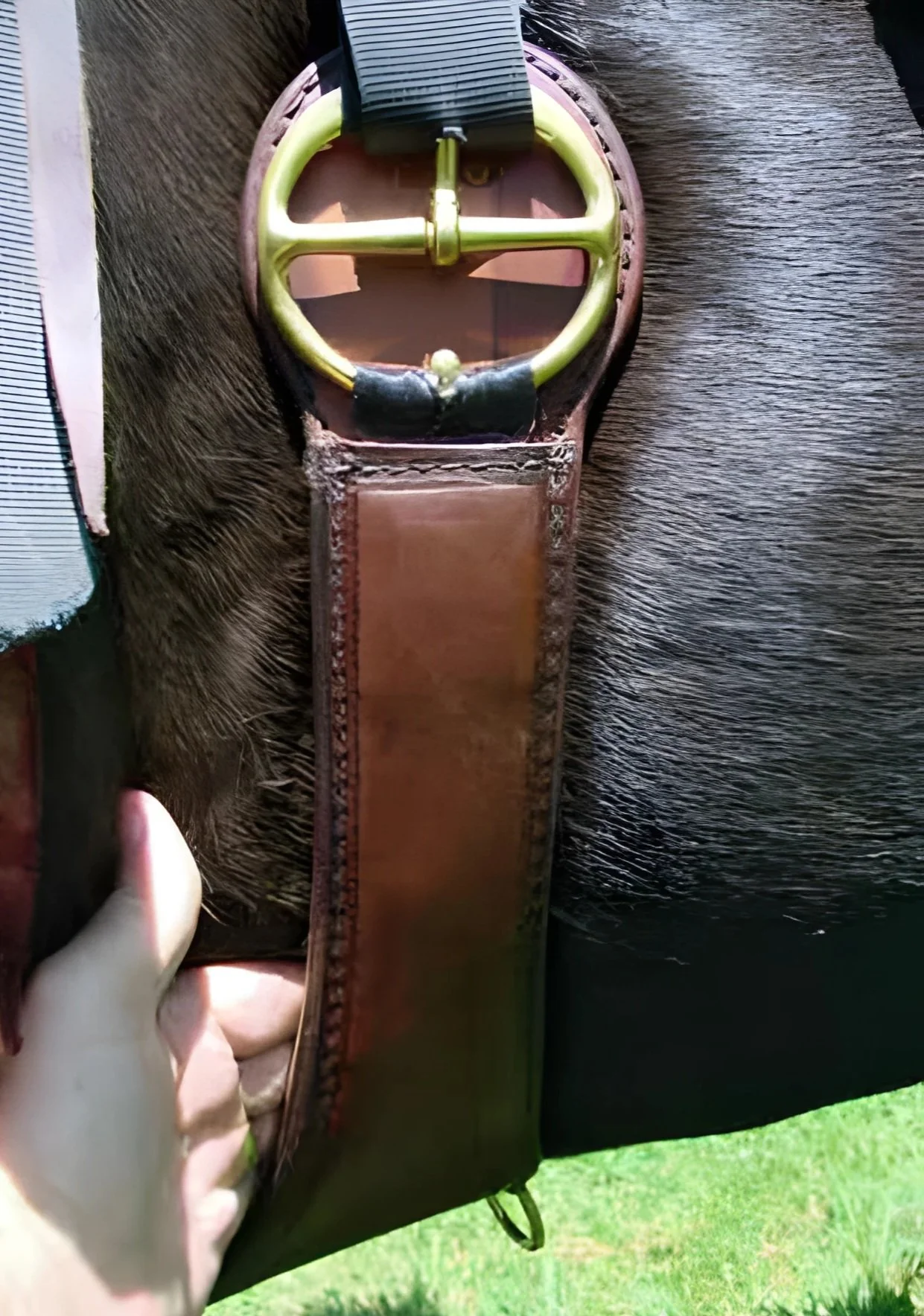 Never-Tight Cinch for Horses & Great for Round-back Horses — The Corrector