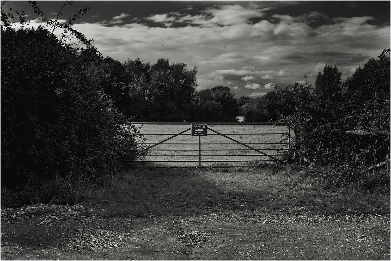 photographydaily-photowalk_0388.jpg