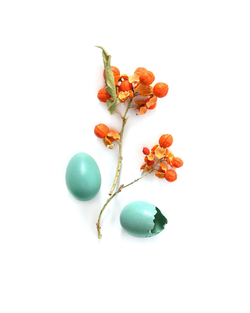 bittersweet and robin eggs 9 copy.jpg