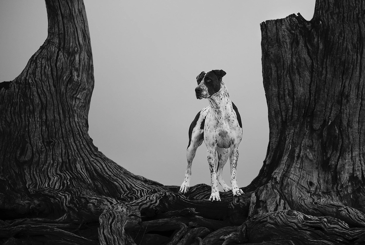 #513 THE ONE: BIG PICTURES FROM 2025 PART 1