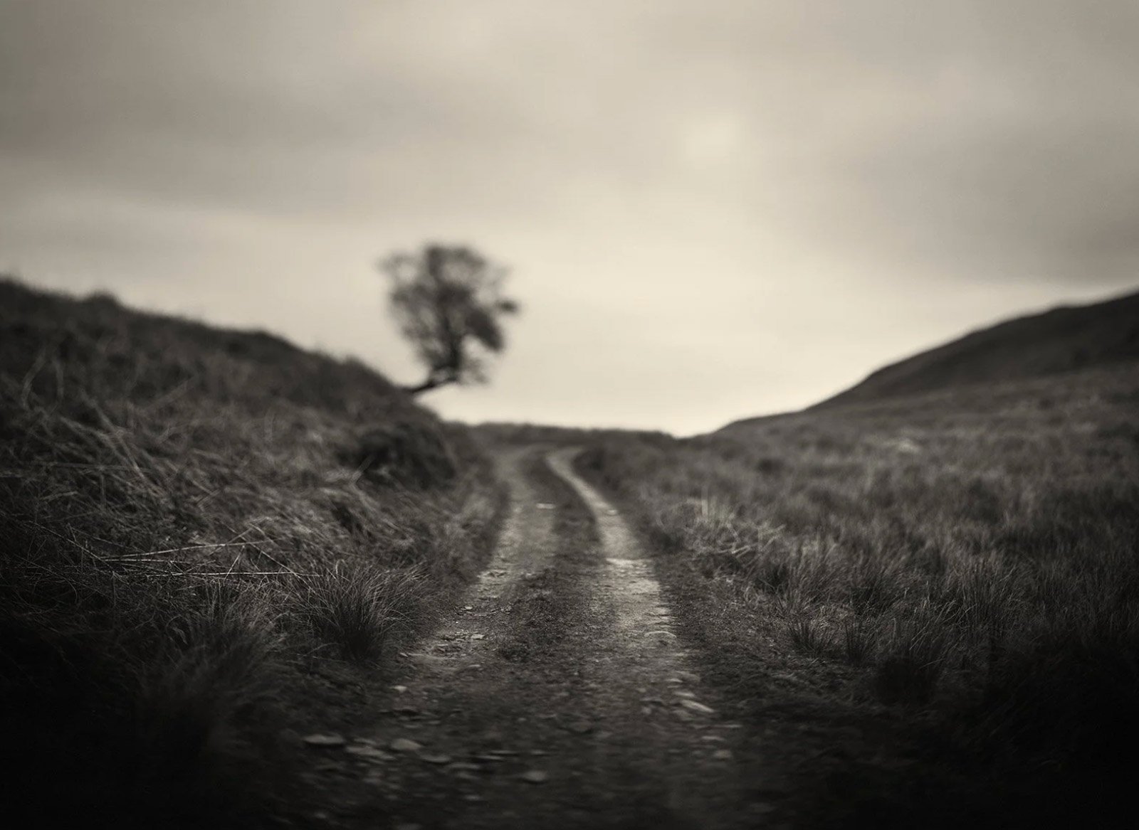 #516 STANDING WHERE ORWELL STOOD