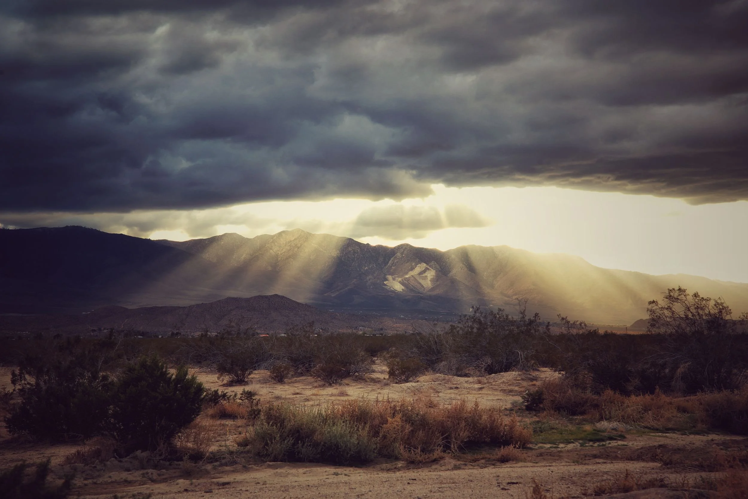 #541 STORIES FROM BESIDE THE ROAD