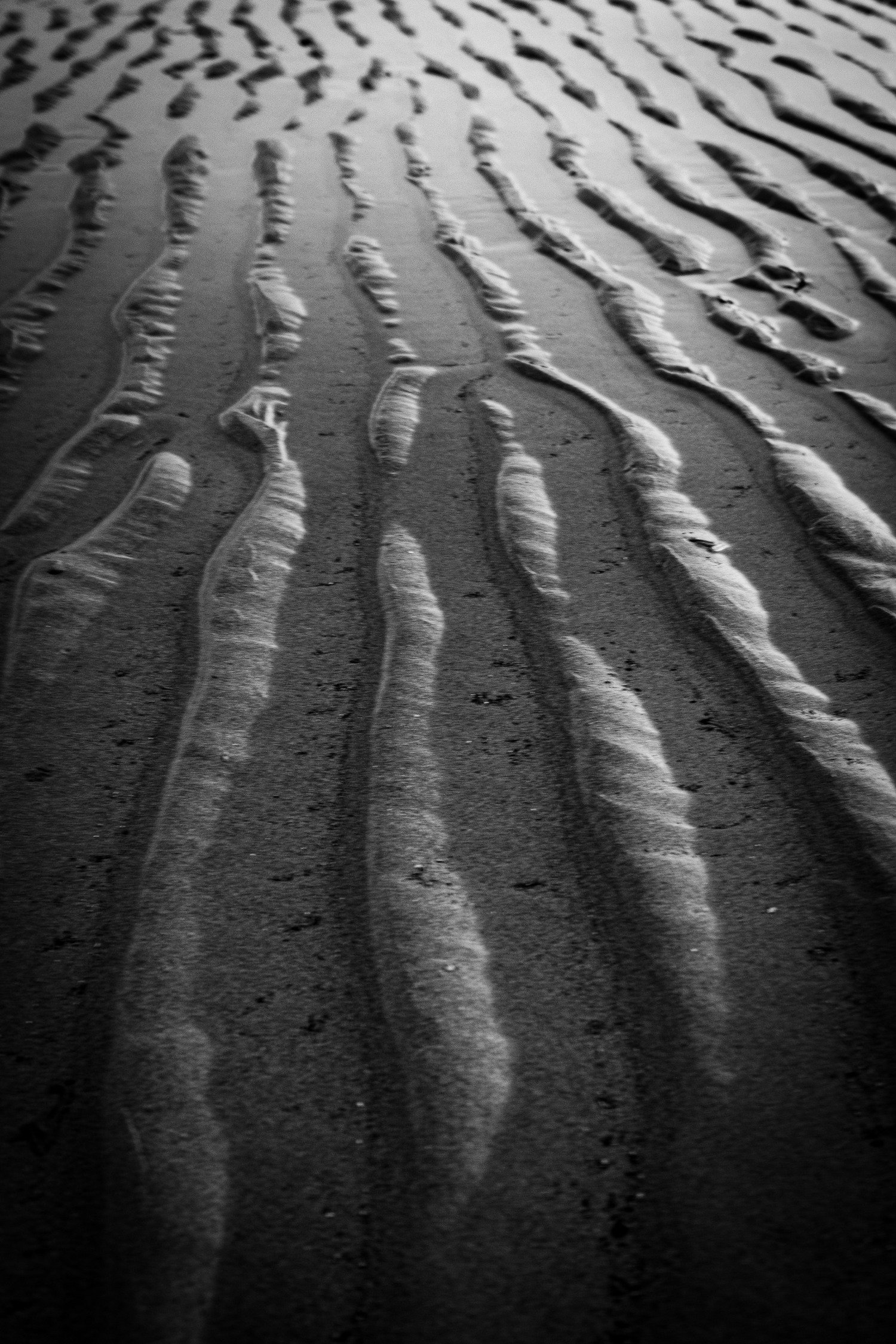 365:187 MATTHEW HADDOW